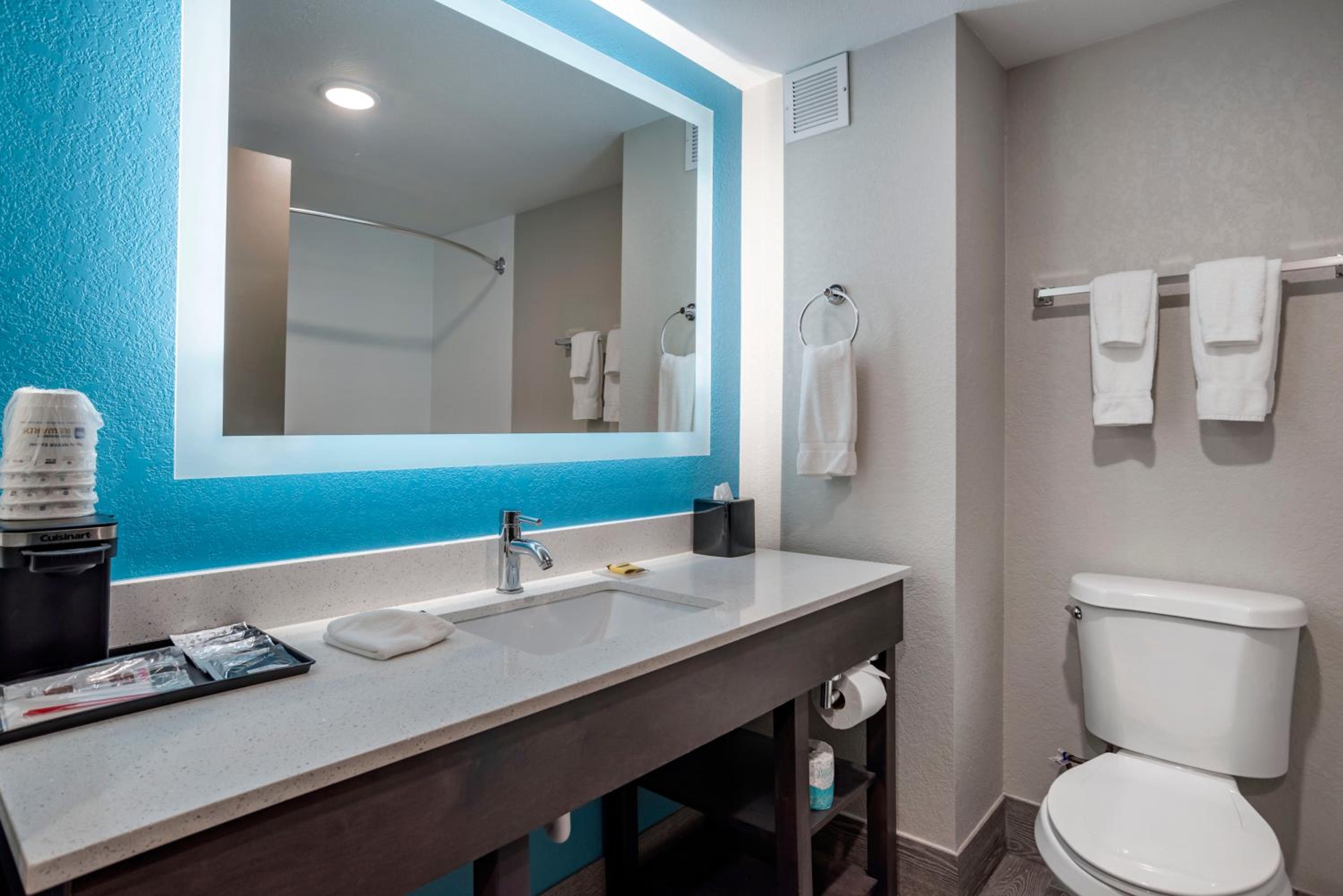 King Room with Roll-In Shower - Disability Access