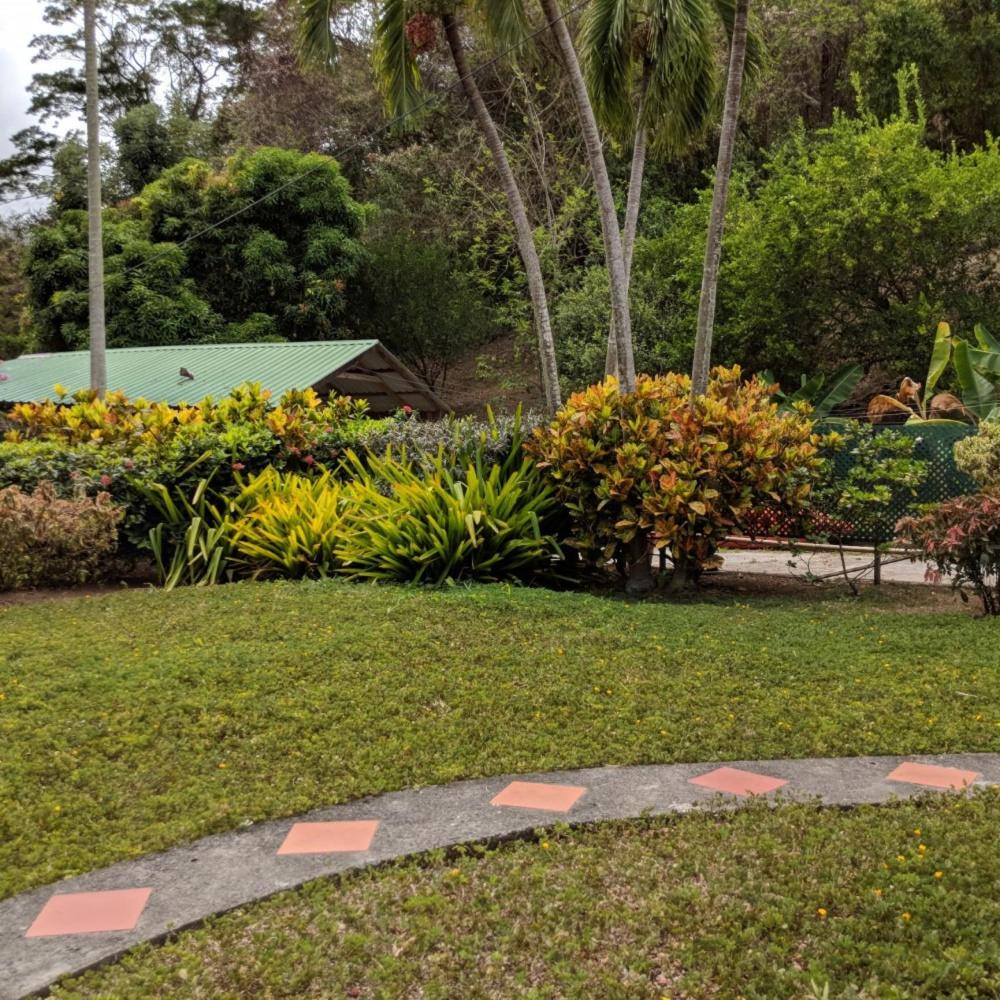 Queen Room with Garden View