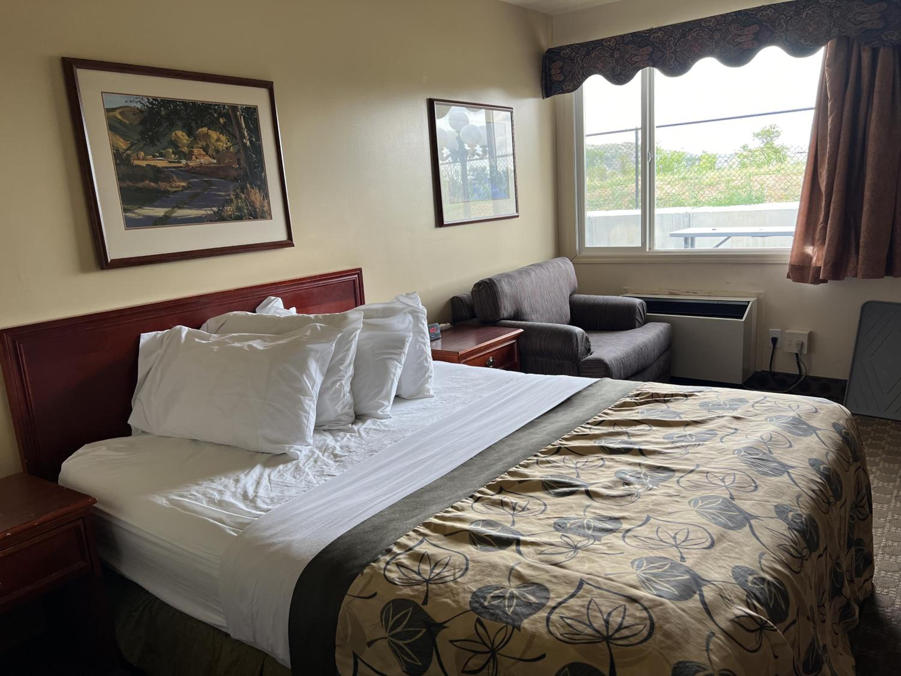 Queen Room - Disability Access - Photo 1