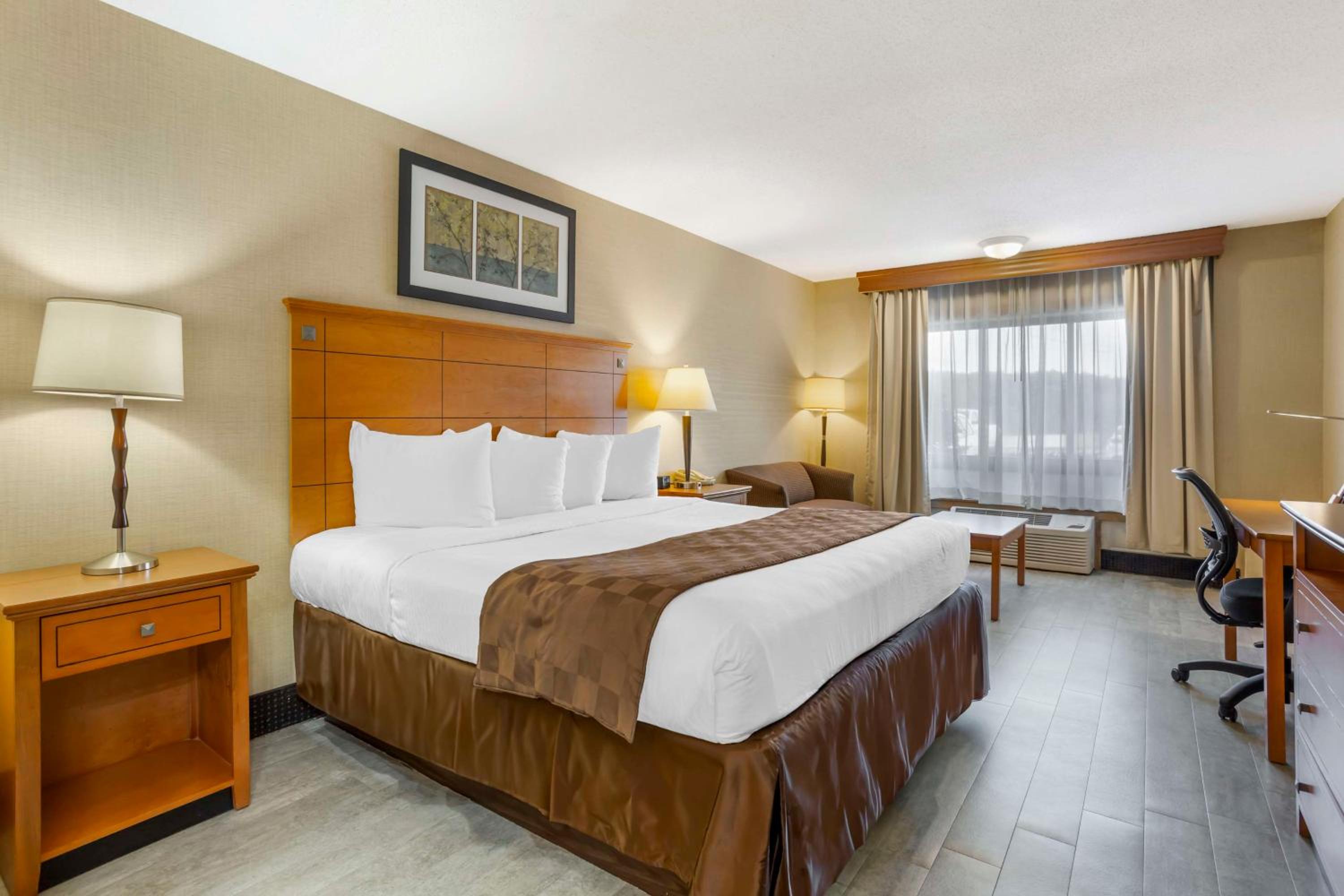King Room - Non-Smoking - Photo 1