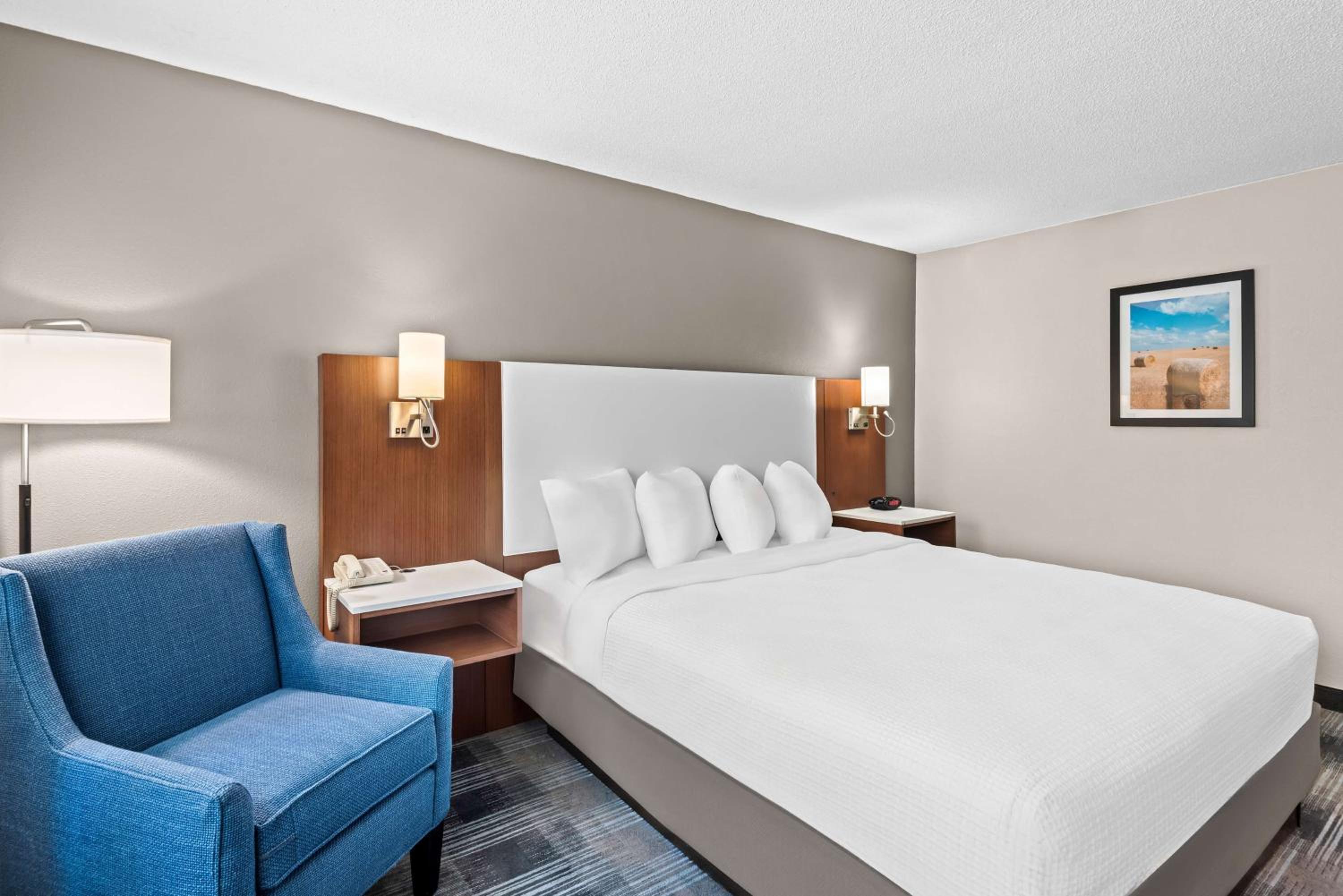 King Room - Mobility Accessible  - Photo 8