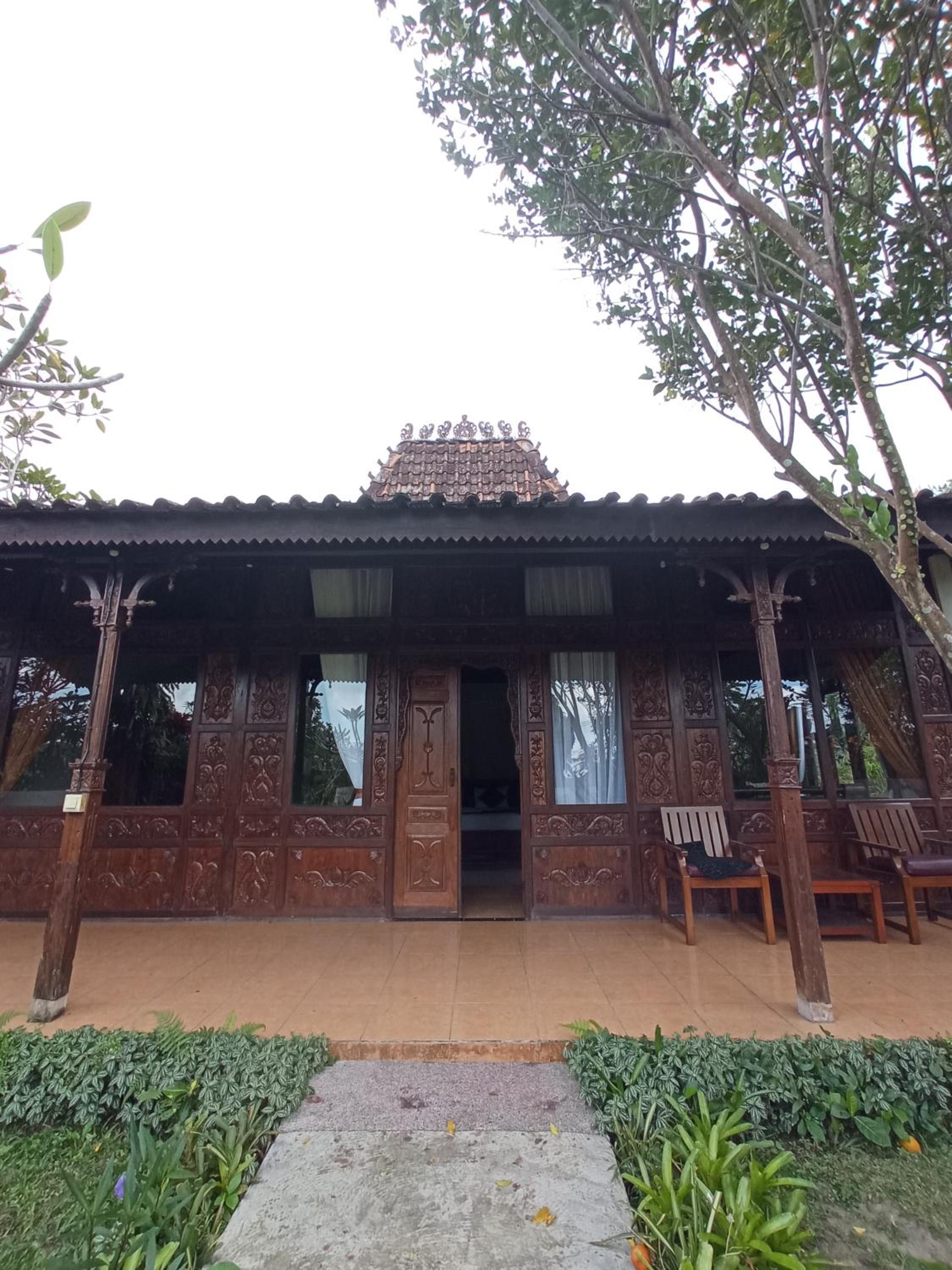 Double Room with Pool View - Photo 8
