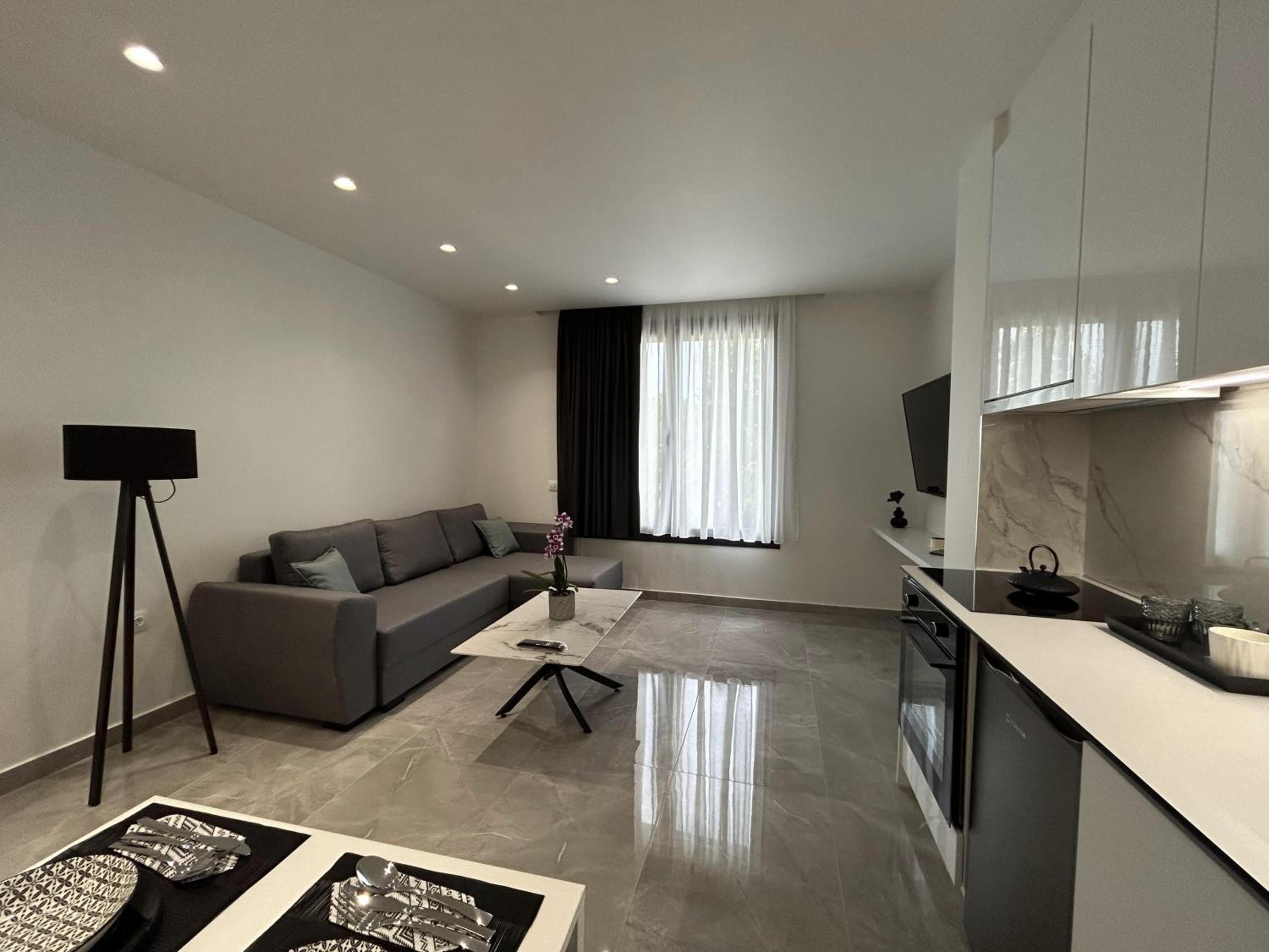 One-Bedroom Deluxe Apartment photo 3