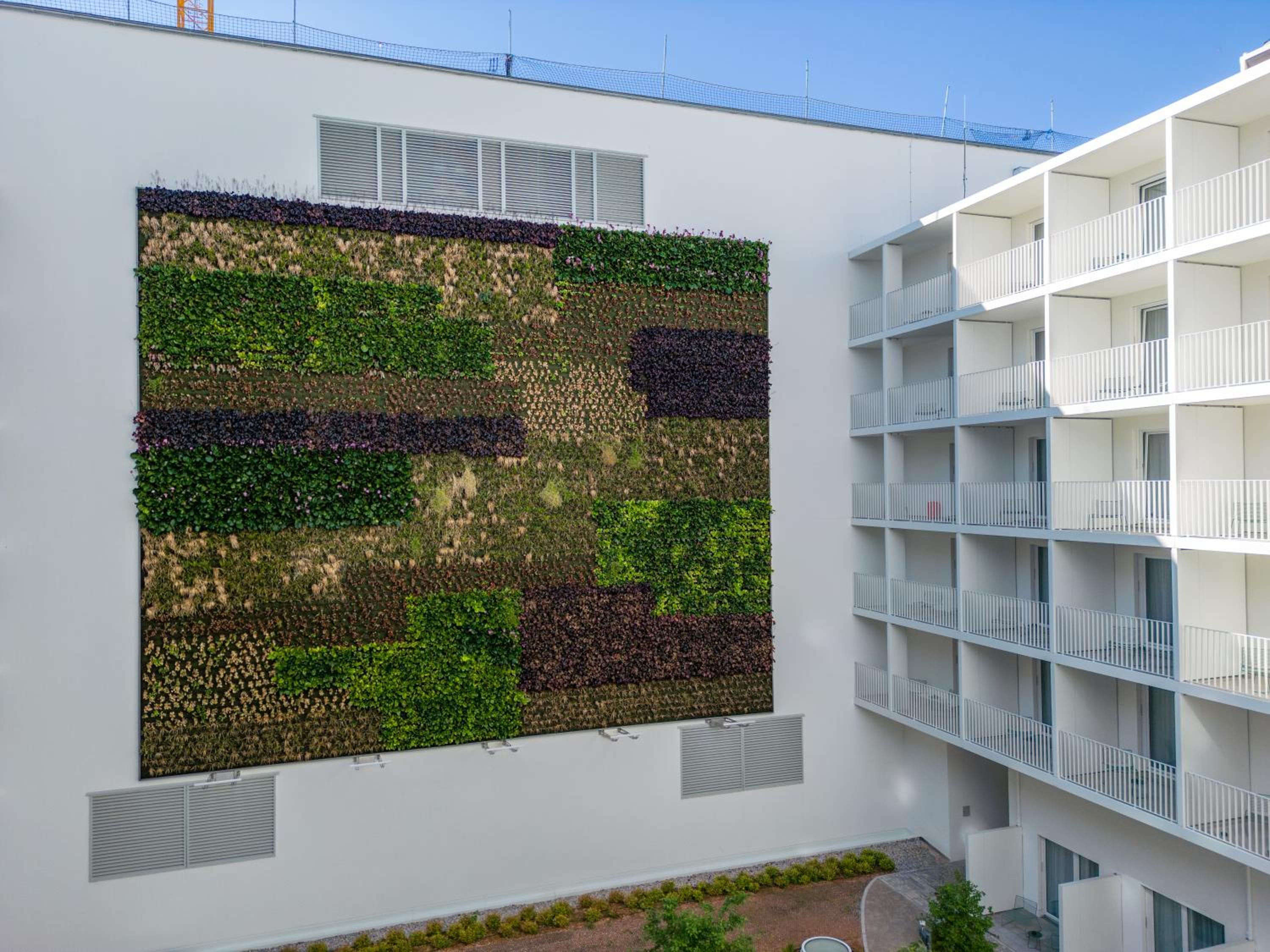 Studio Live Double with Balcony