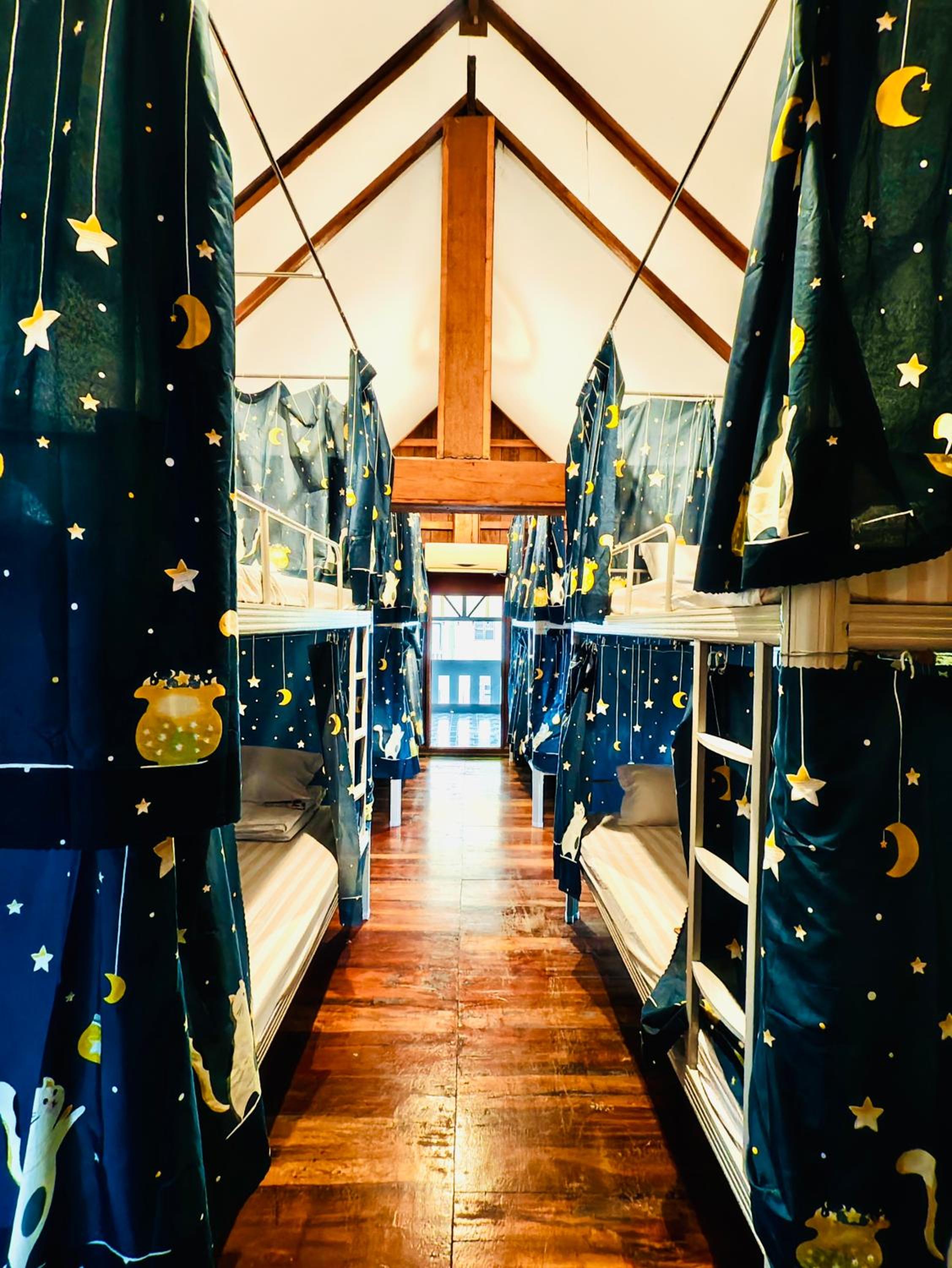 Bunk Bed in Mixed Dormitory Room photo 1