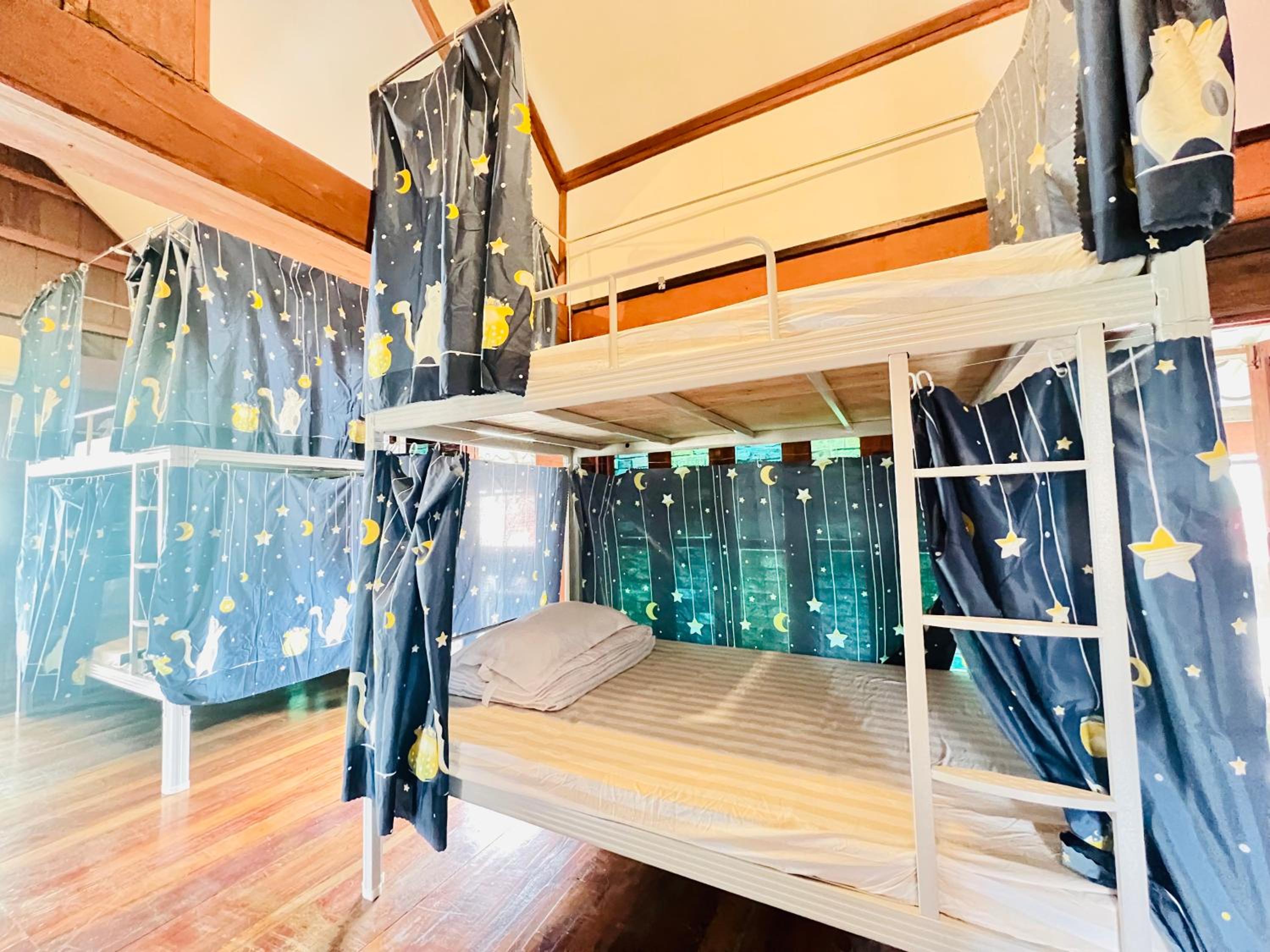Bunk Bed in Mixed Dormitory Room photo 2
