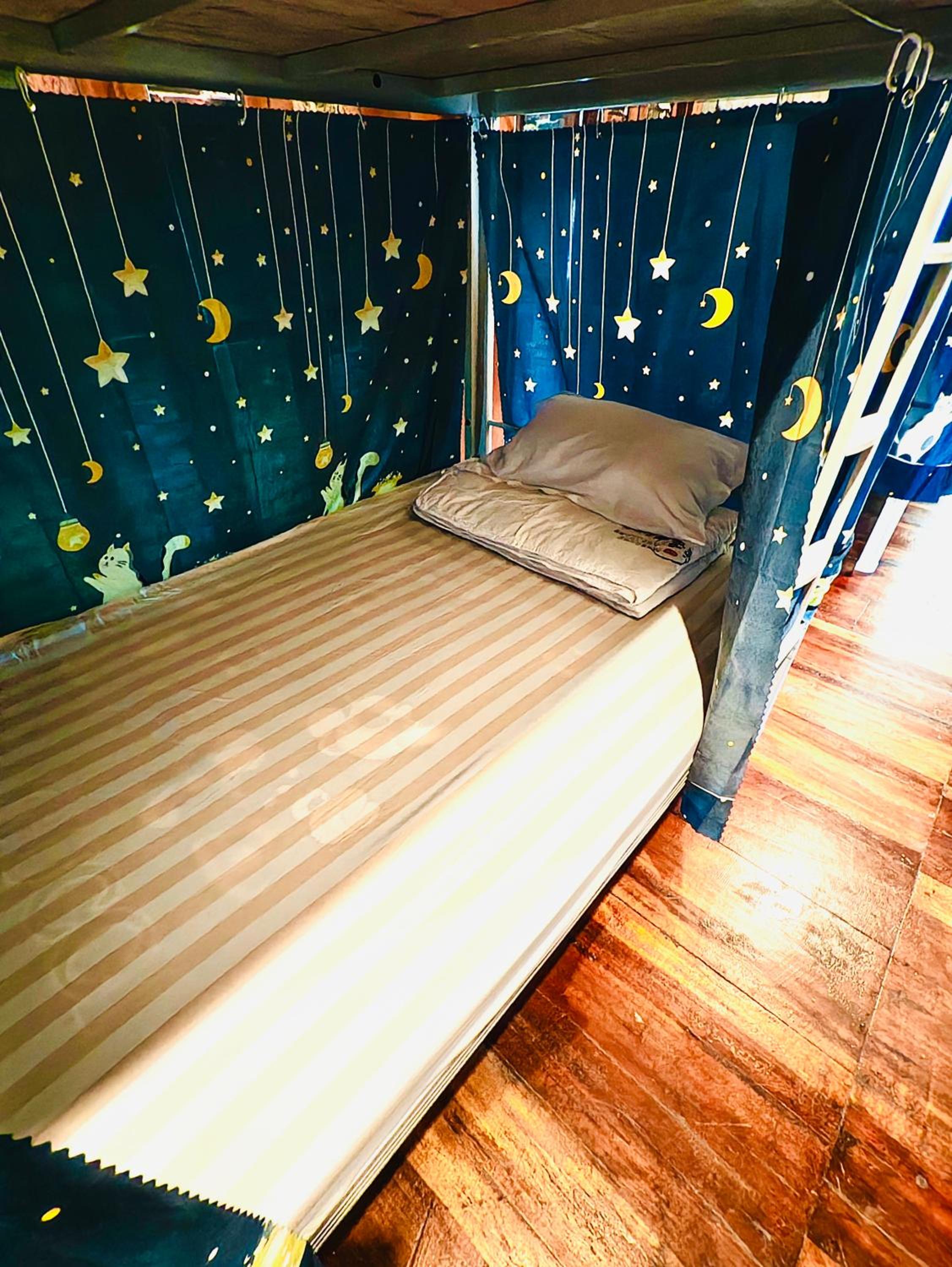 Bunk Bed in Mixed Dormitory Room photo 3