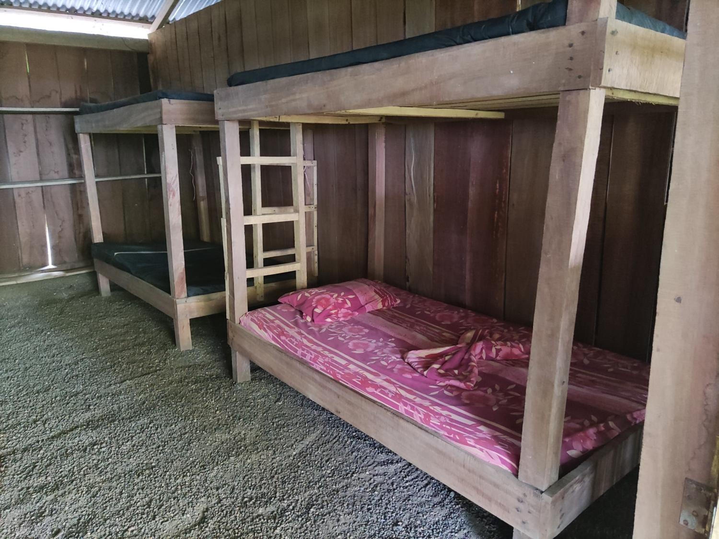 Bunk Bed In Mixed Dormitory Room photo 2