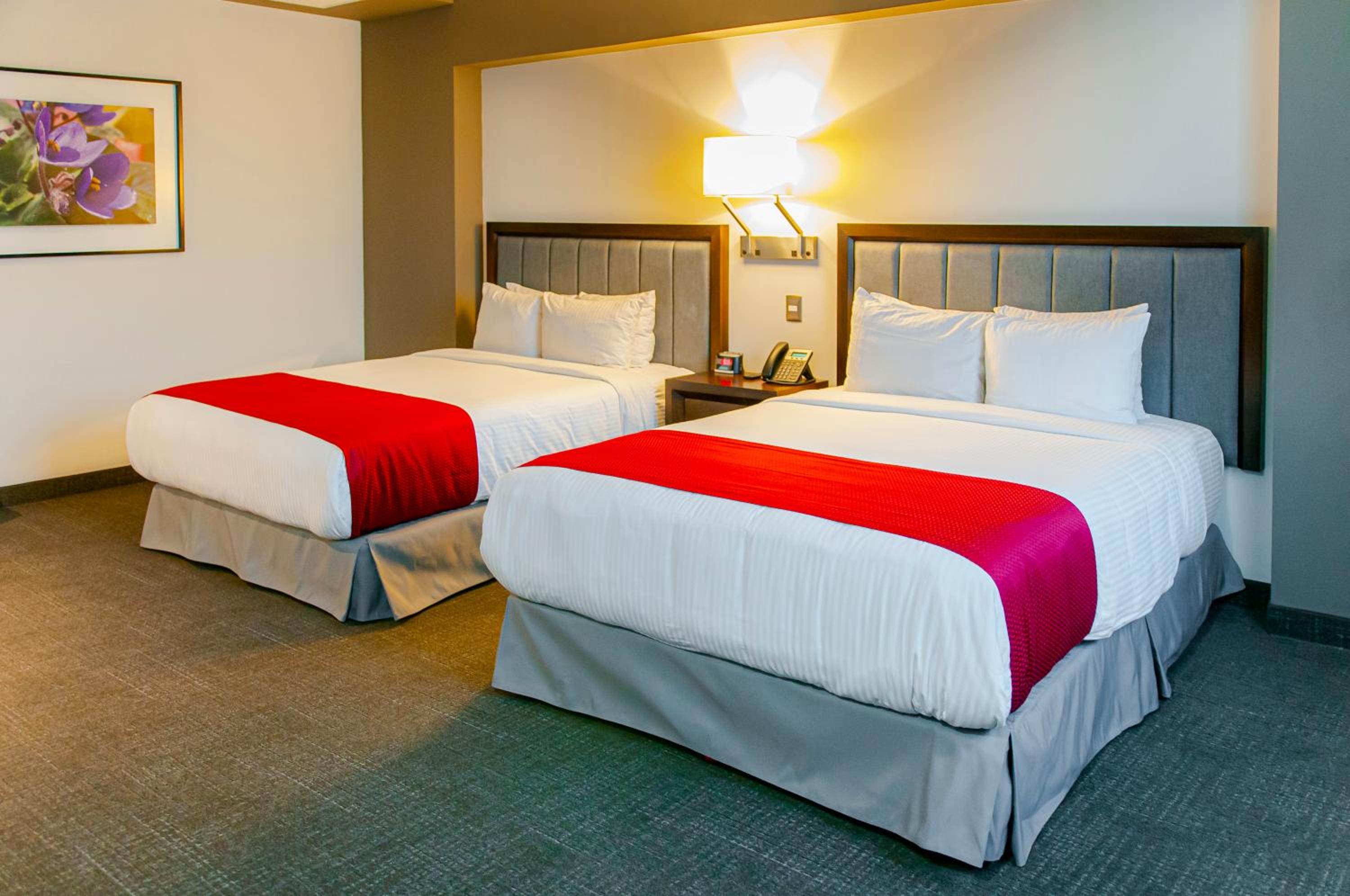 Queen Room with Two Queen Beds - Disability Access