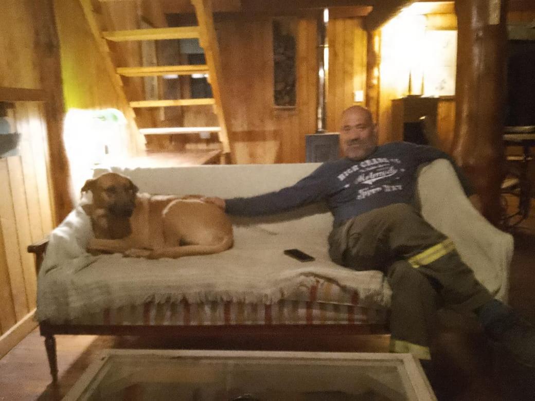 Family Room photo 3