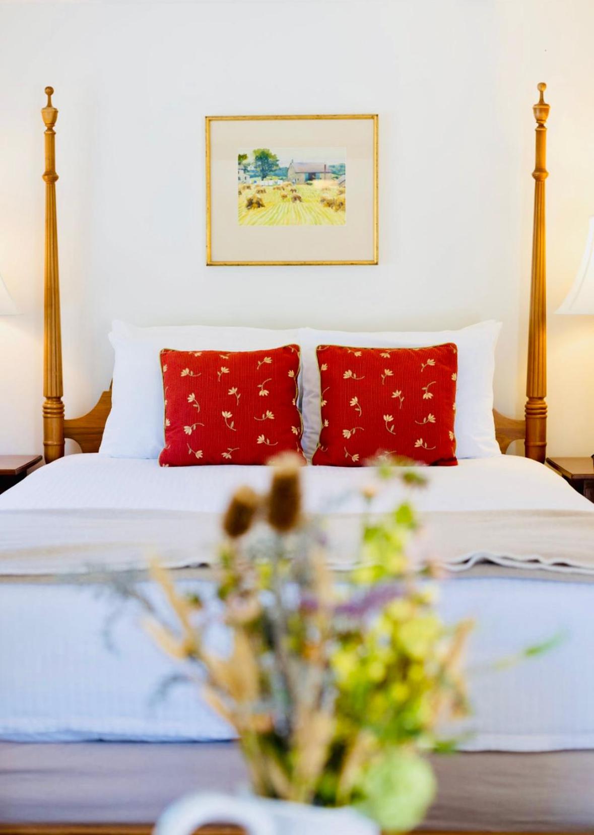 Deluxe Queen Room photo 1