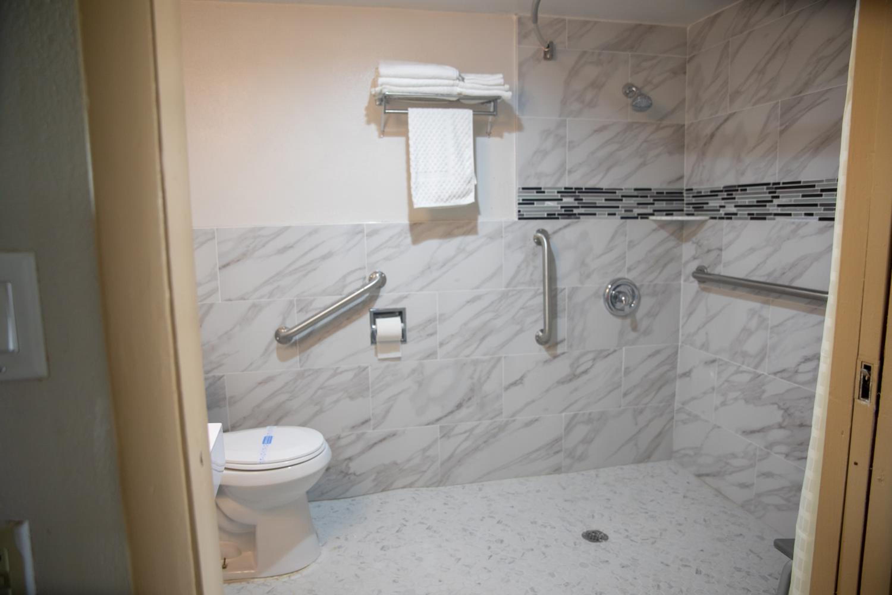 Accessible 1 King Roll in Shower photo 2
