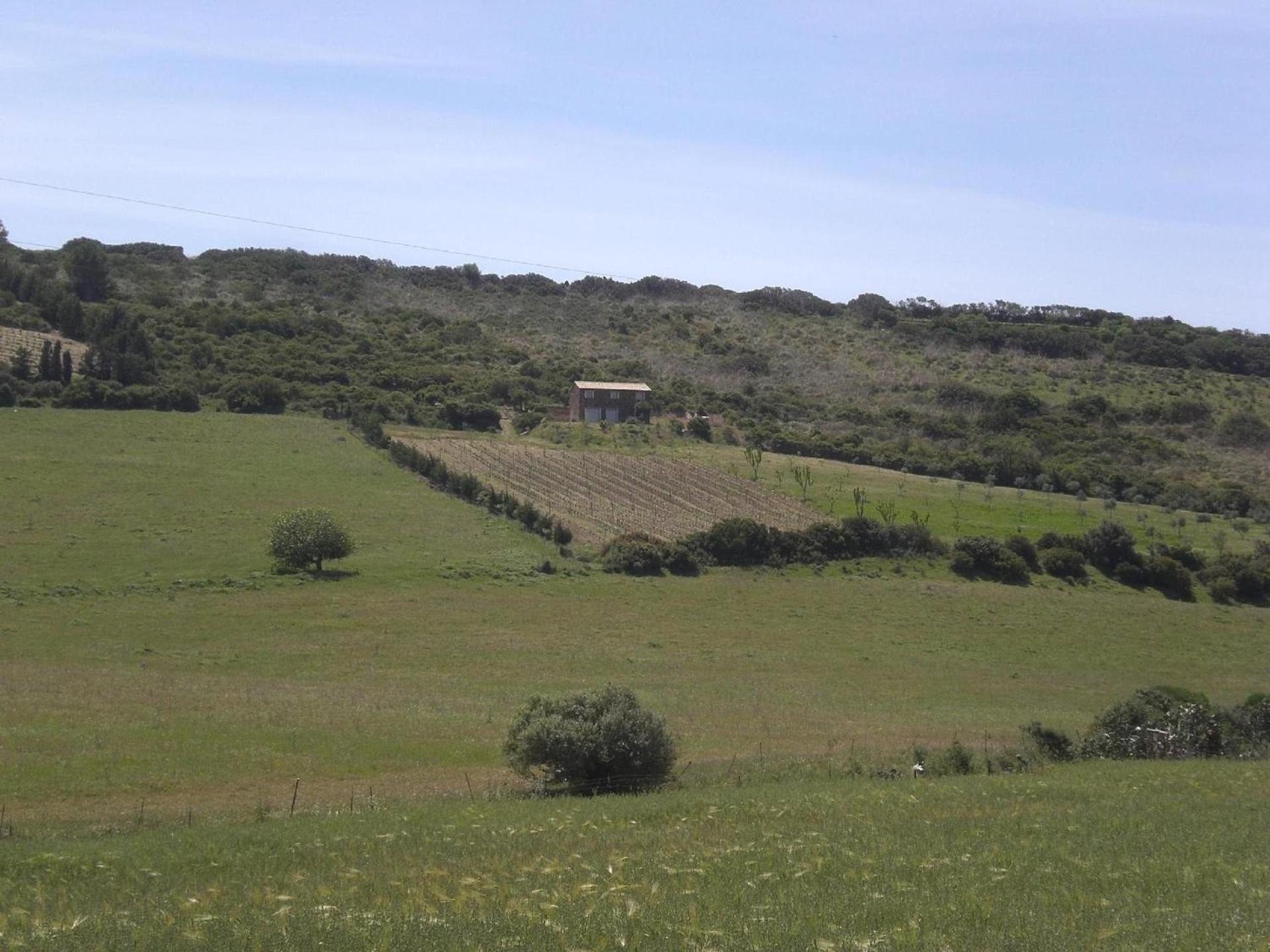 Holiday Home photo 3