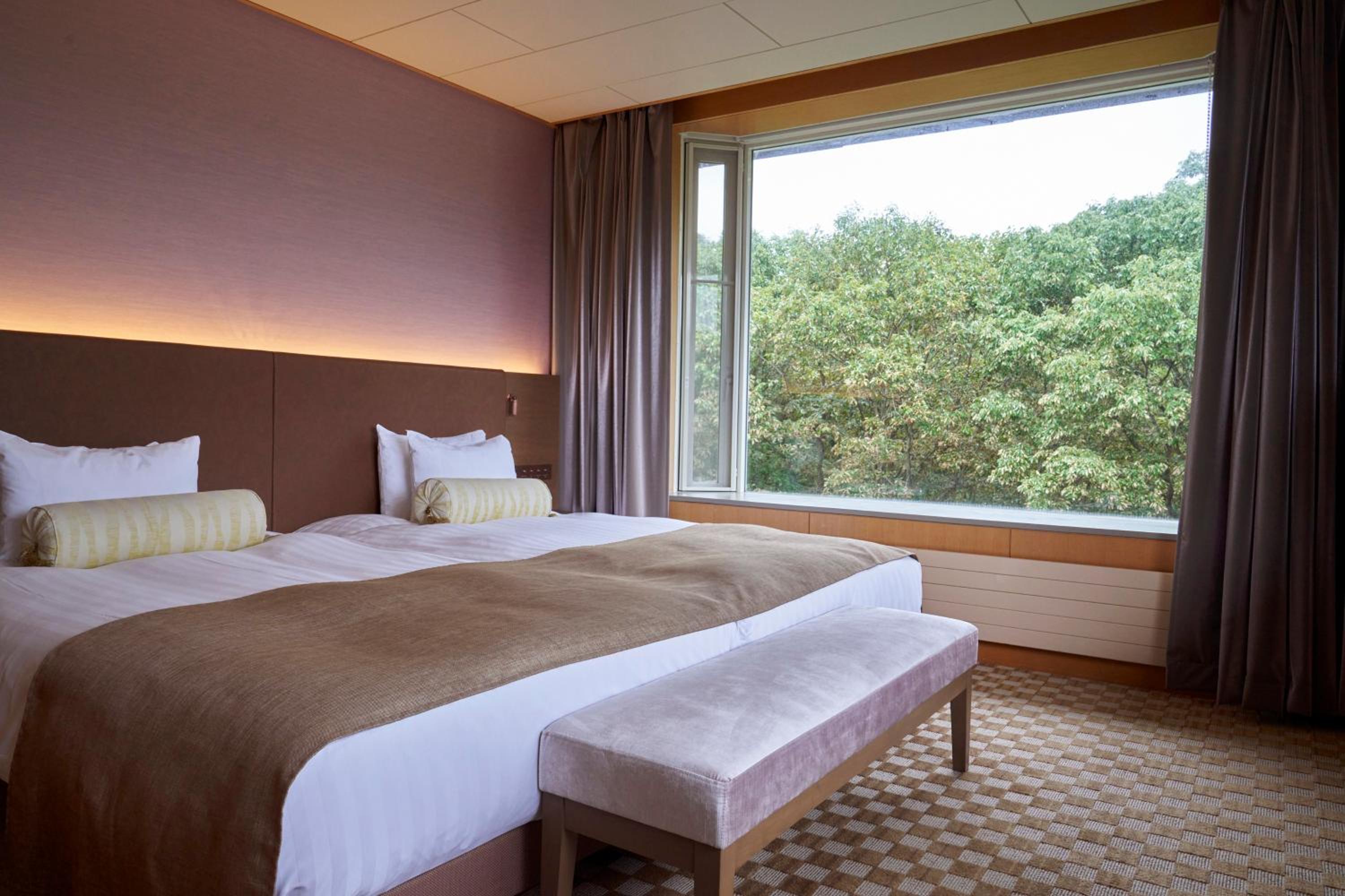 Suite - Photo 5