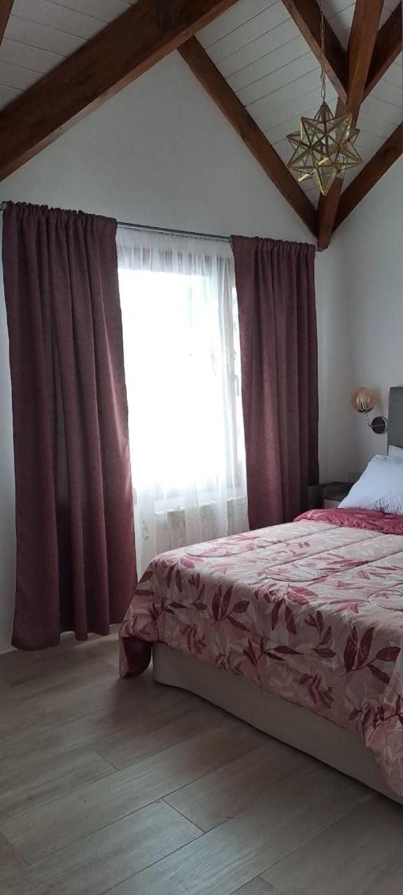 Superior One-Bedroom Apartment