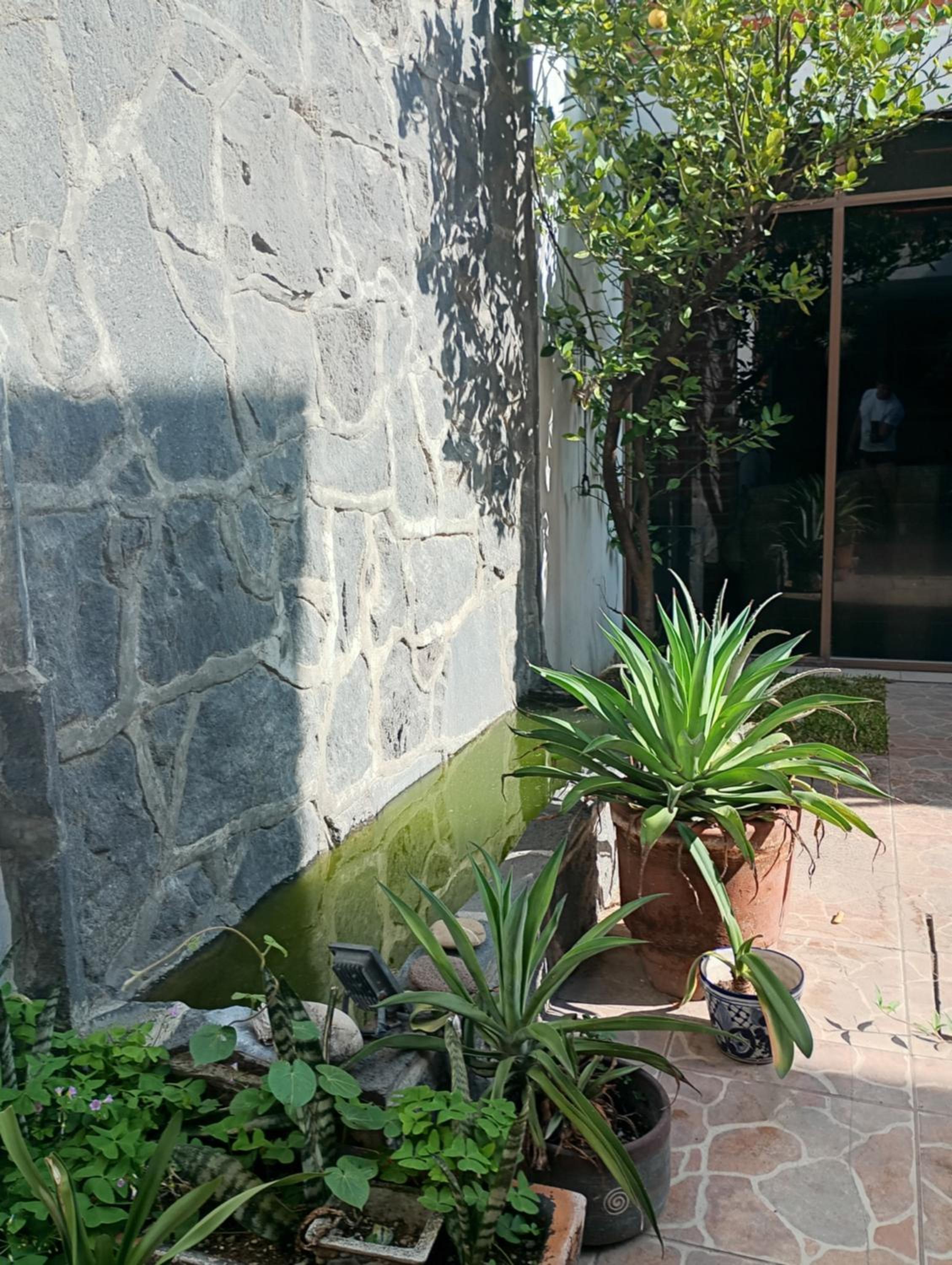 Two-Bedroom Villa photo 3