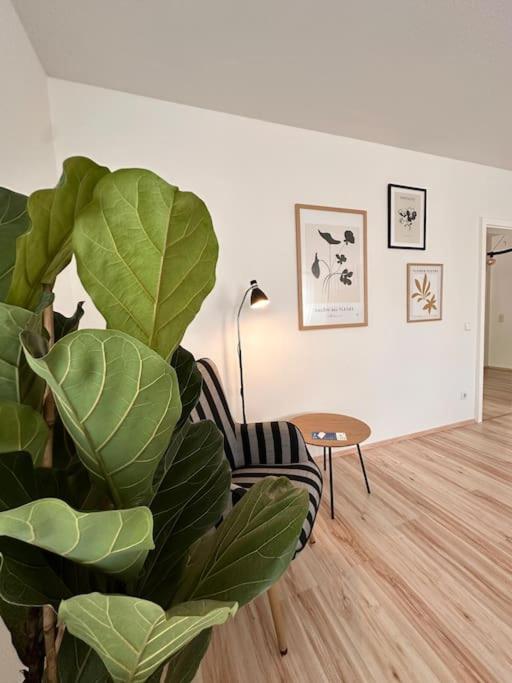 Three-Bedroom Apartment photo 3