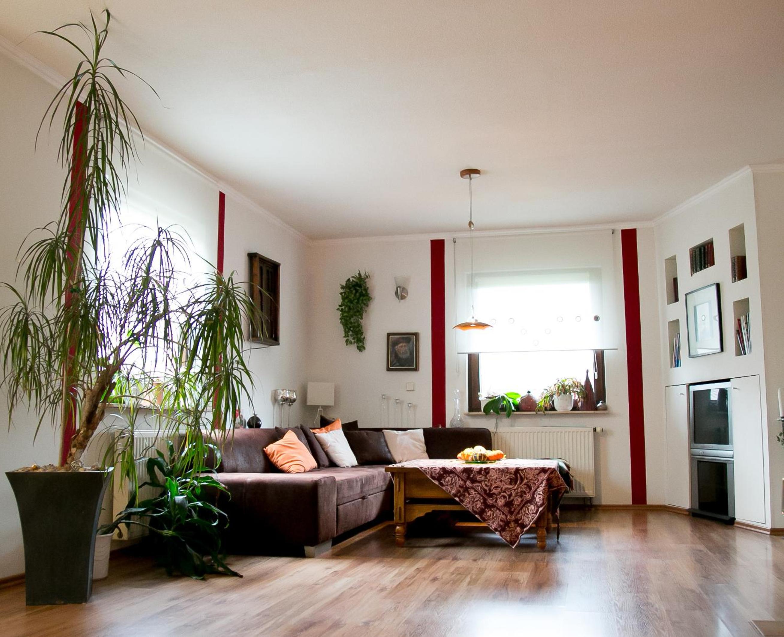 One-Bedroom Apartment - Ground Floor photo 1