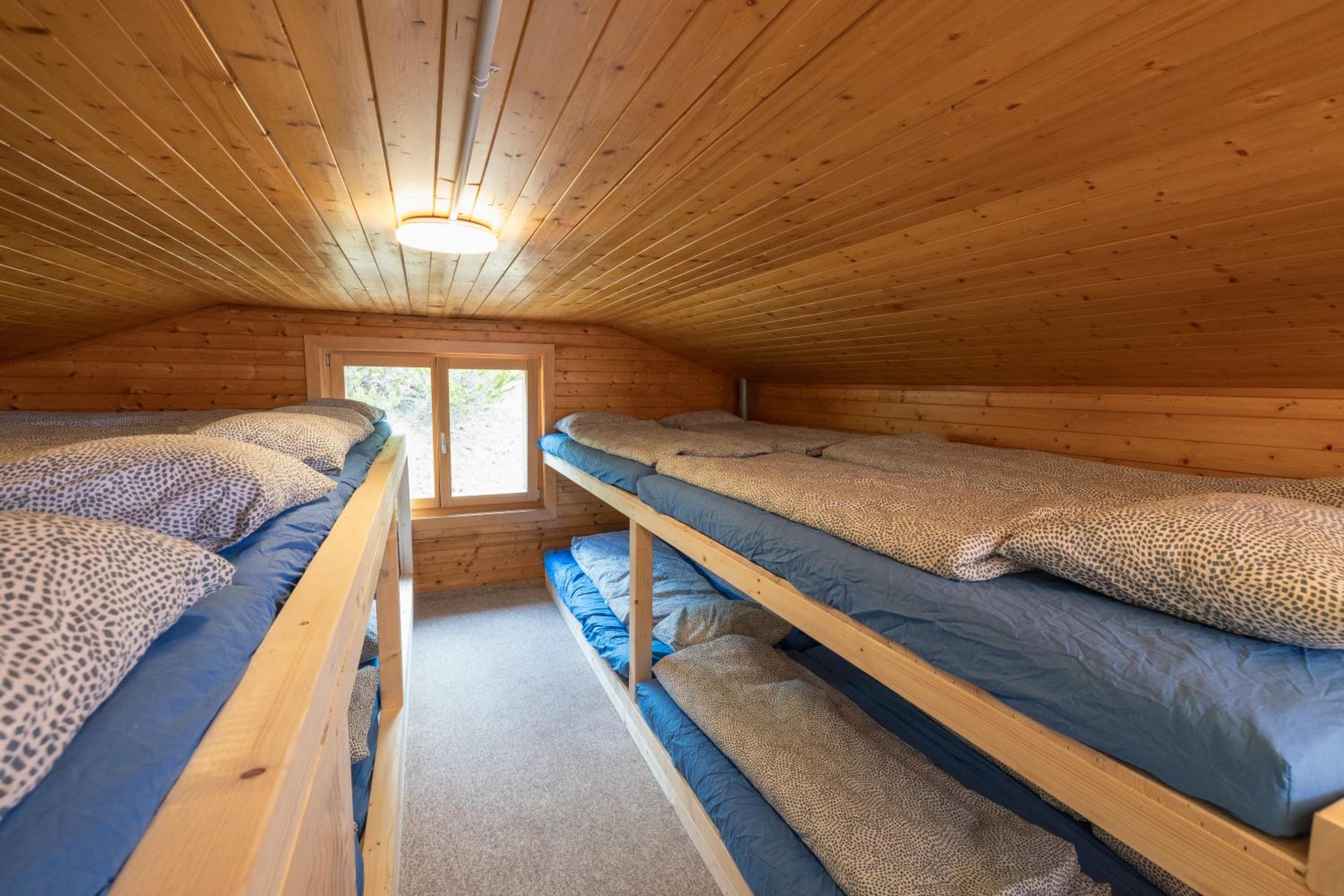 Single Bed In Dormitory Room photo 2