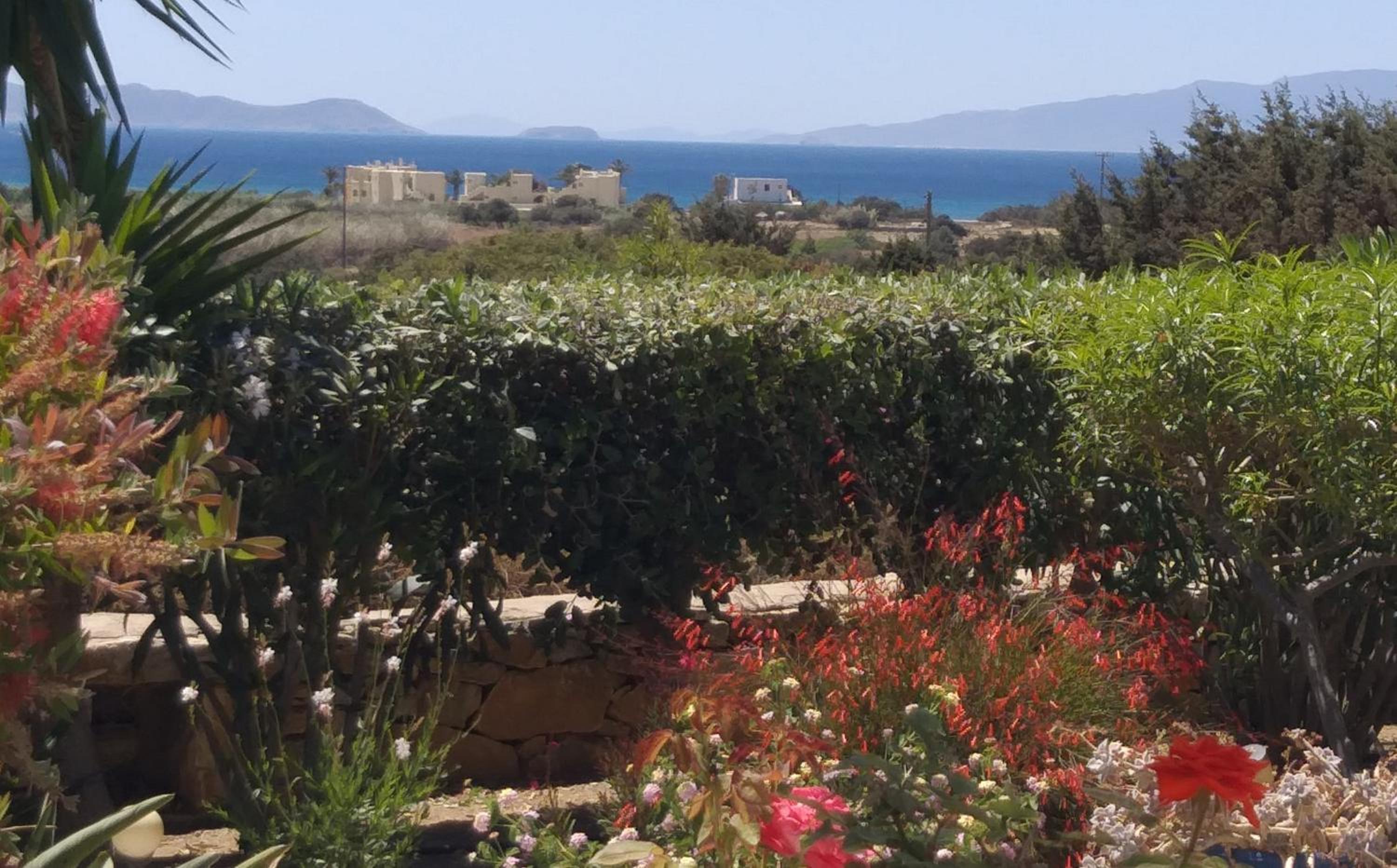 Double Room with Sea View photo 1