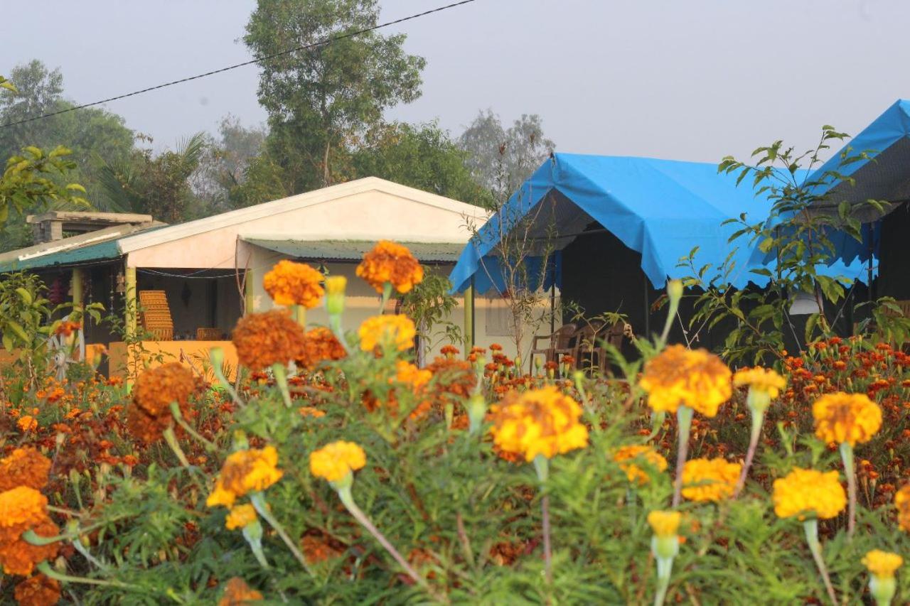 Tent photo 2