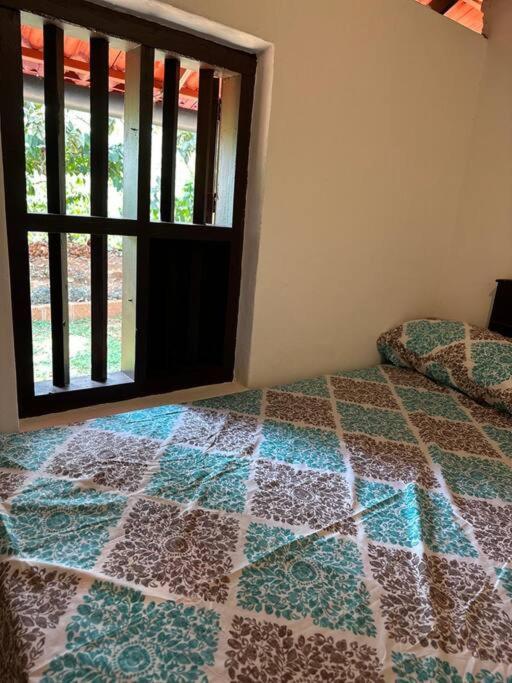 One-Bedroom House photo 2