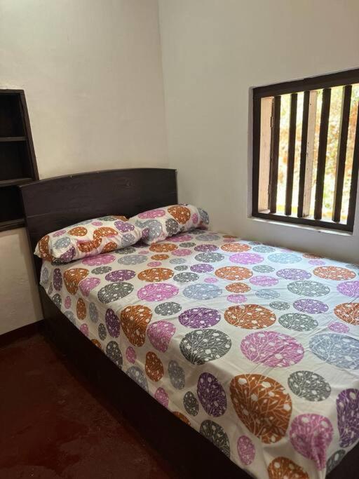 One-Bedroom House photo 3