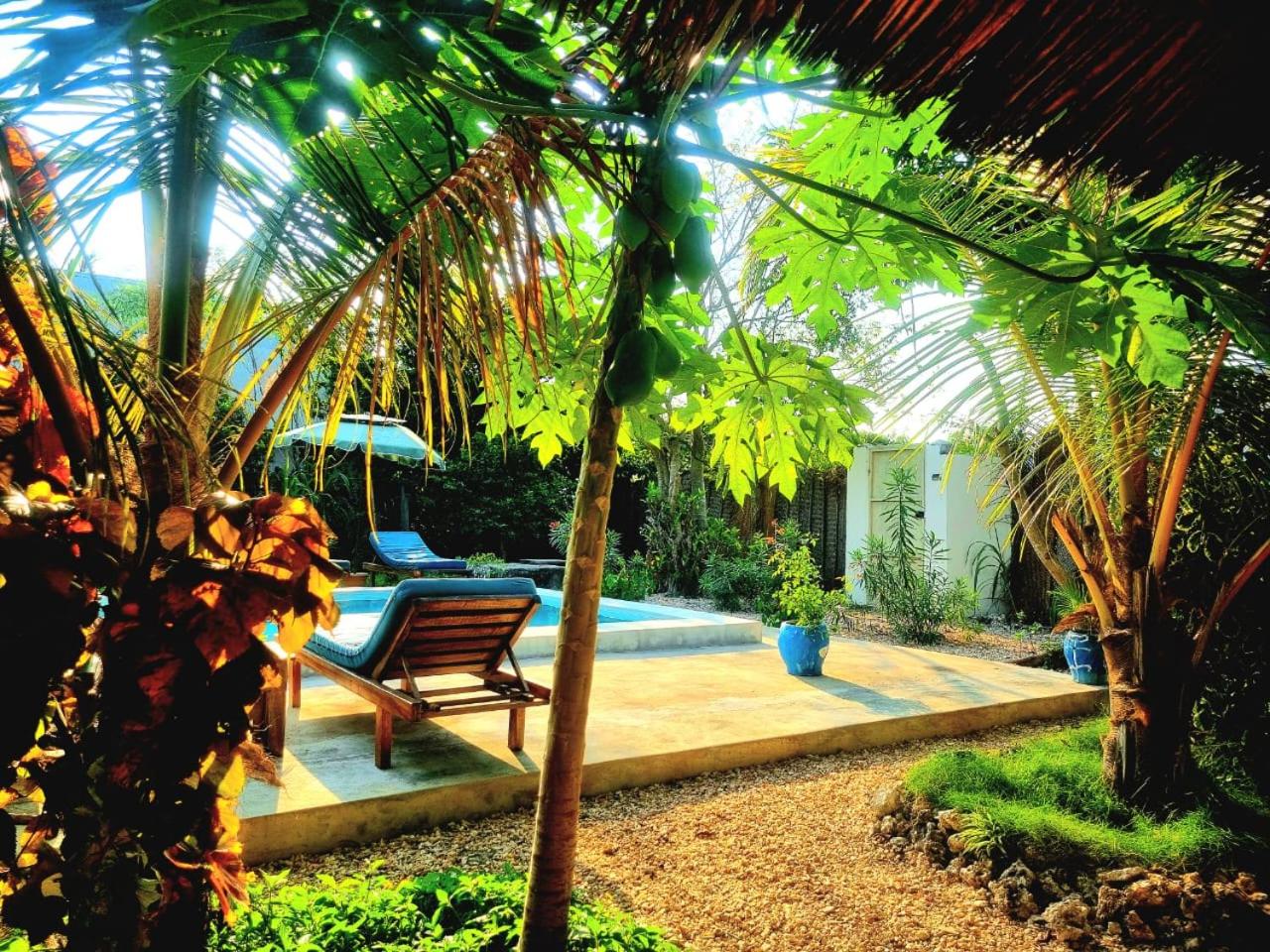 One-Bedroom Bungalow - Photo 19