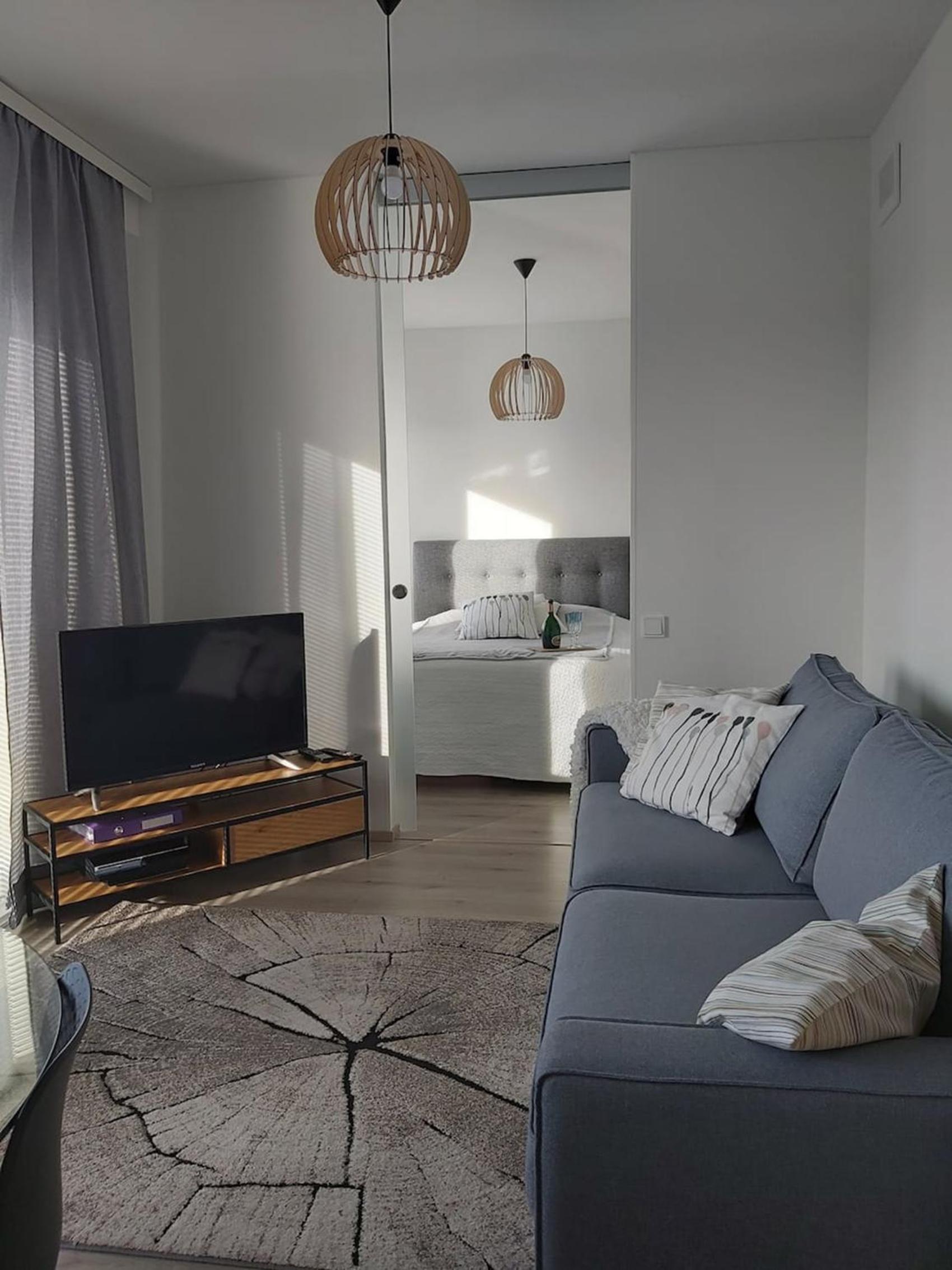 One-Bedroom Apartment photo 2