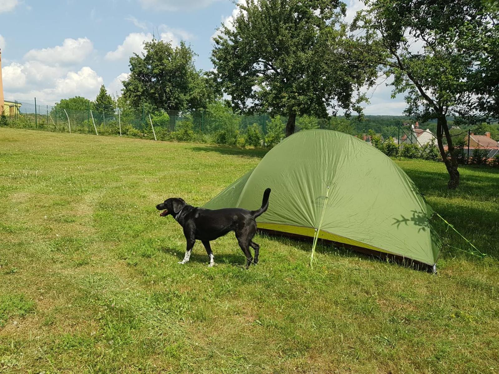 Tent photo 3