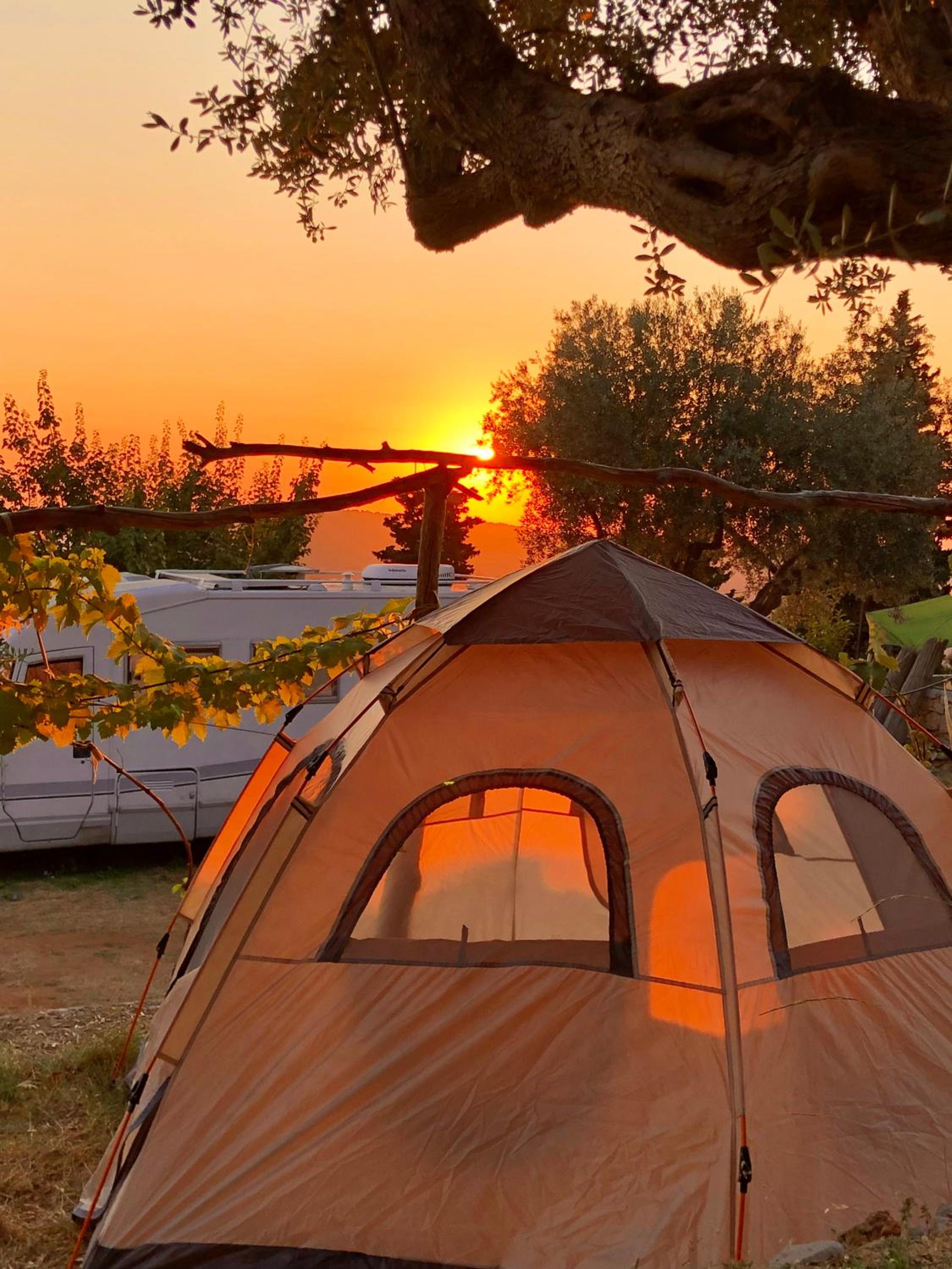 Tent