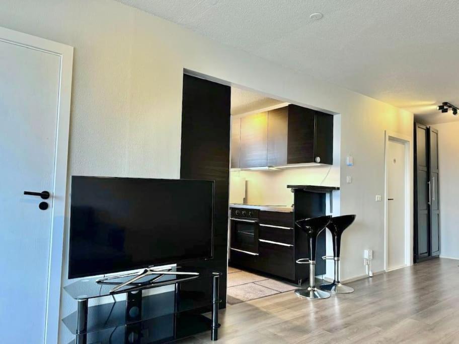 One-Bedroom Apartment photo 3