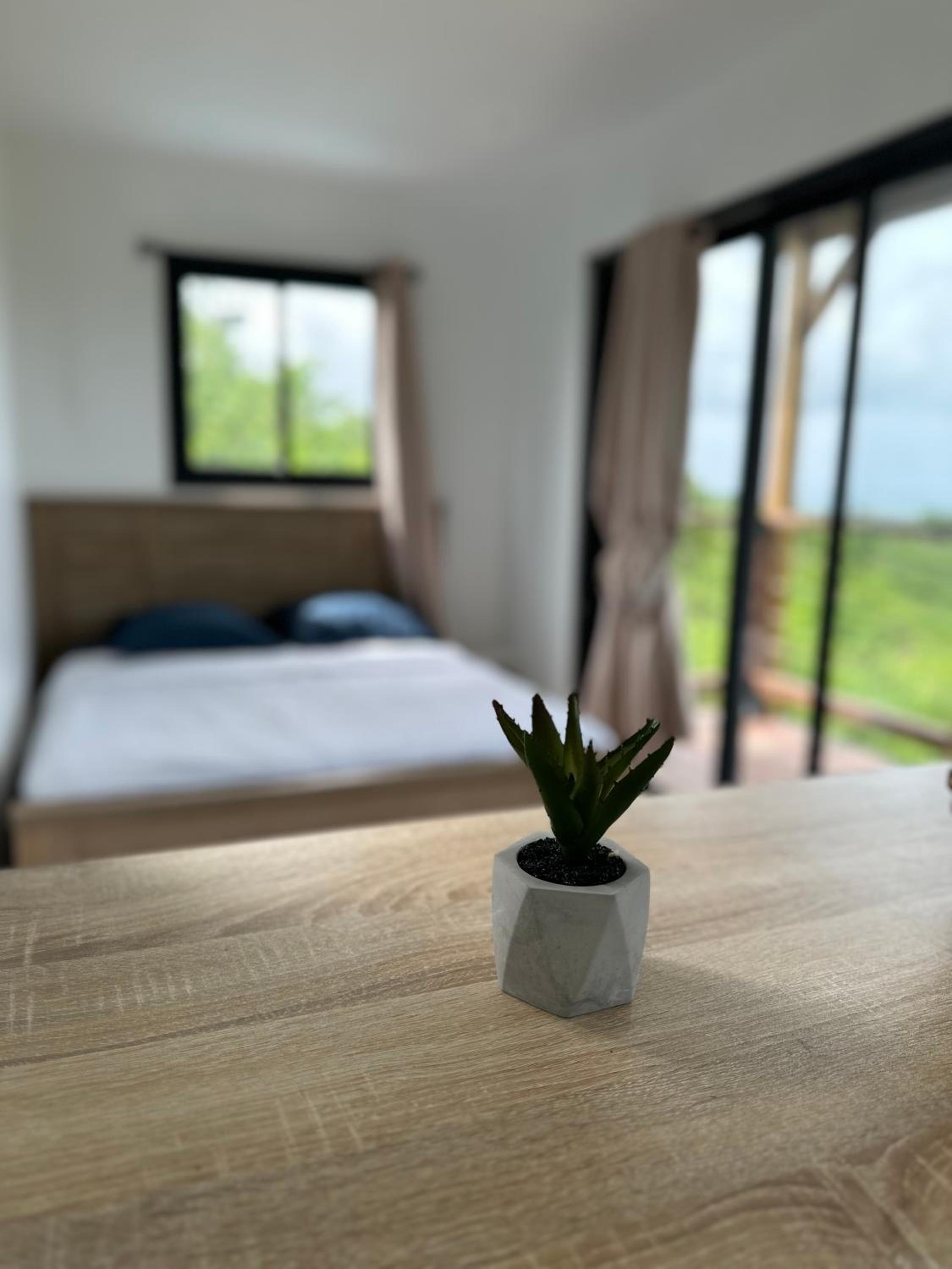 One-Bedroom House photo 1
