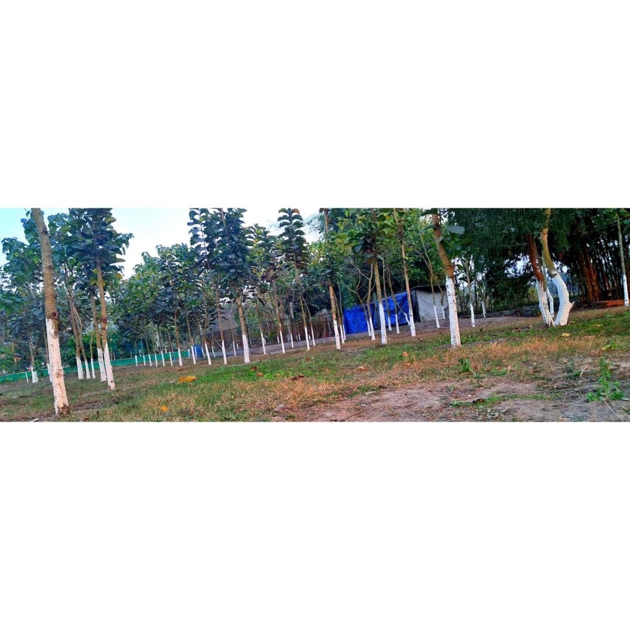 Family Room With Garden View photo 2