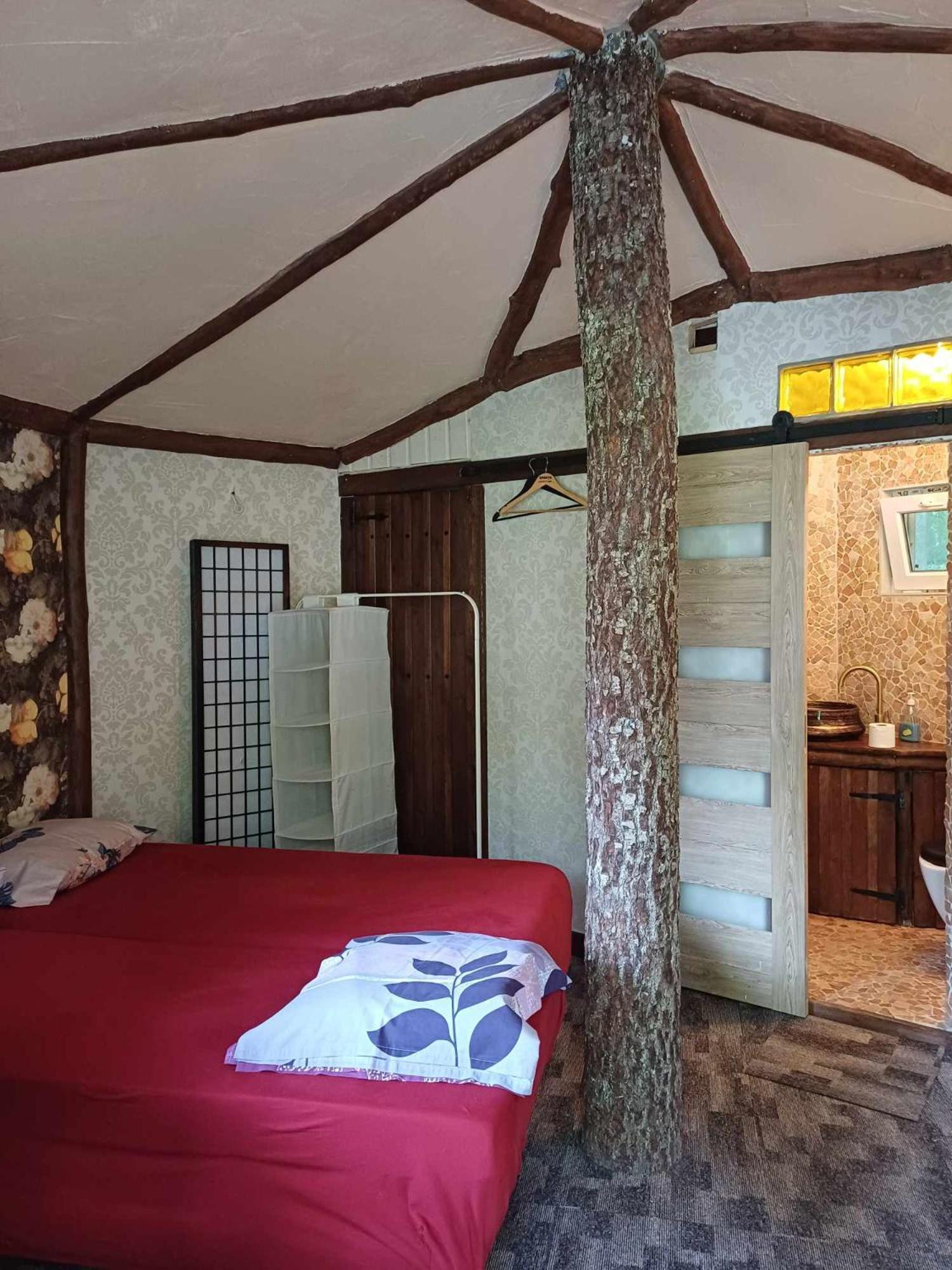 One-Bedroom House photo 3