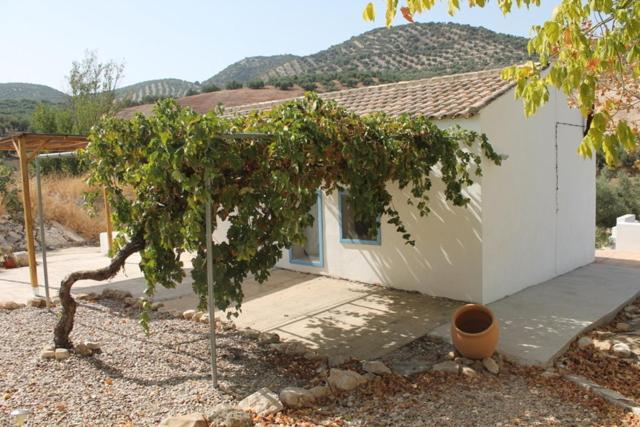 One-Bedroom Villa photo 3