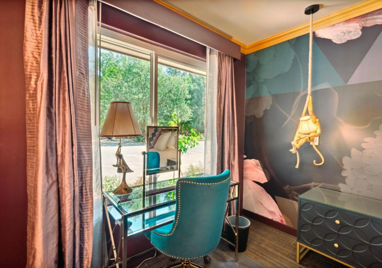 King Room photo 2