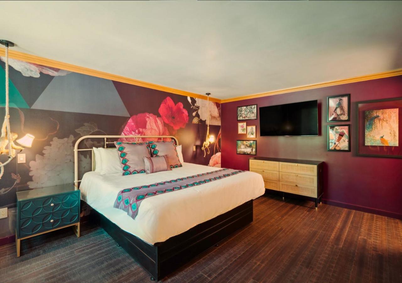 Deluxe King Room photo 1
