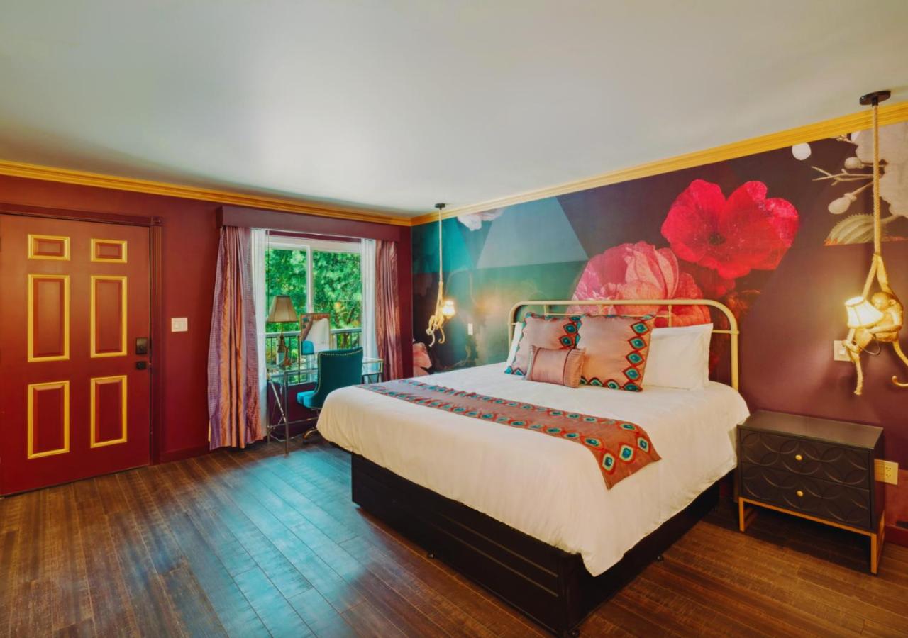 King Room photo 1