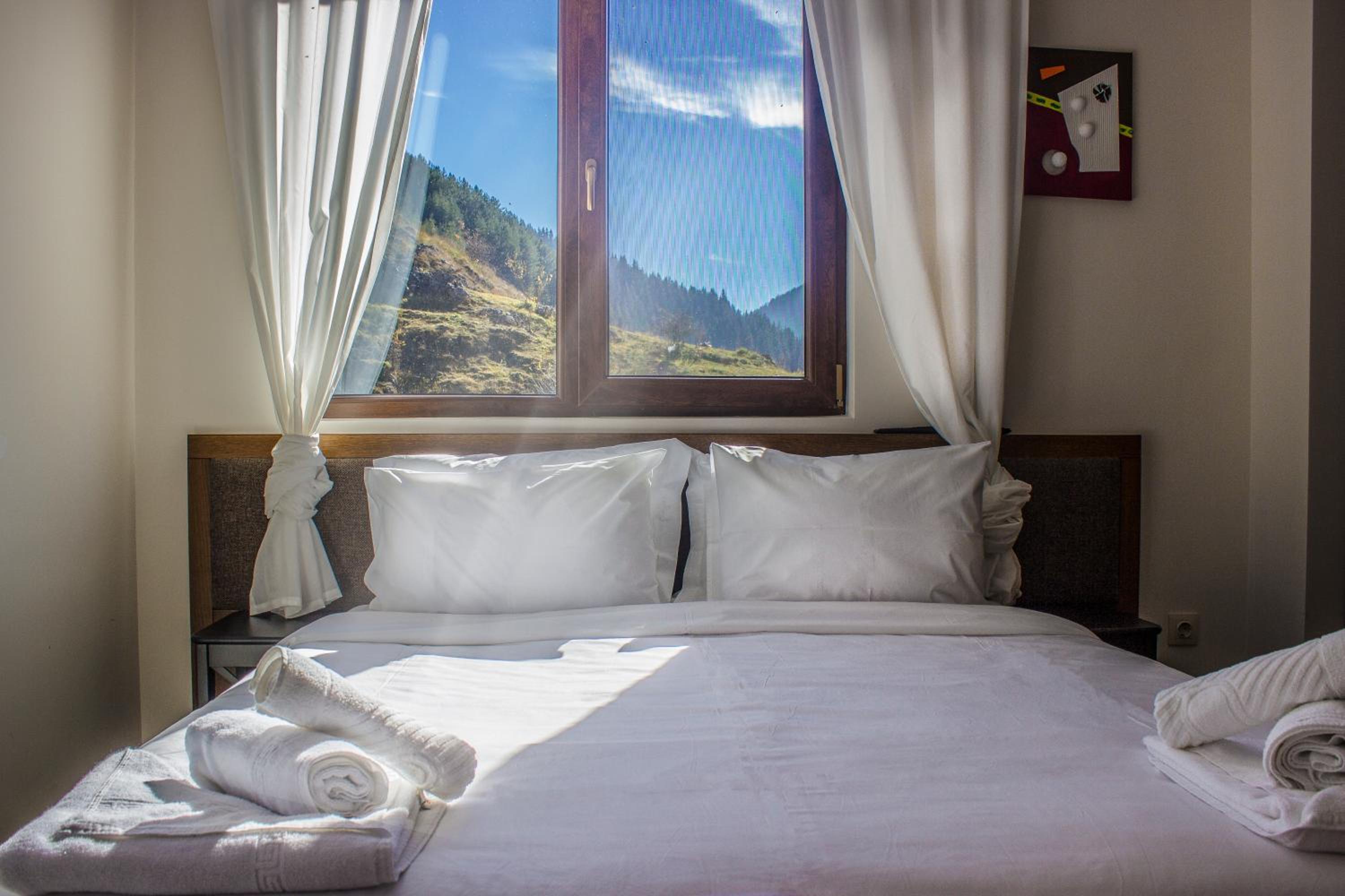Junior Suite photo 1