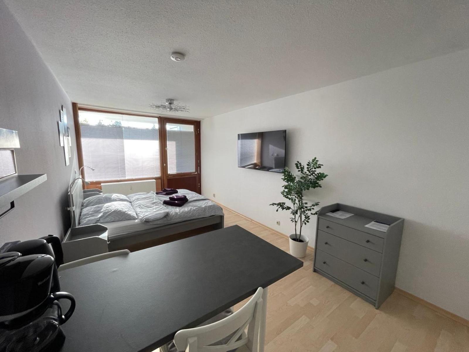 One-Bedroom Apartment photo 3