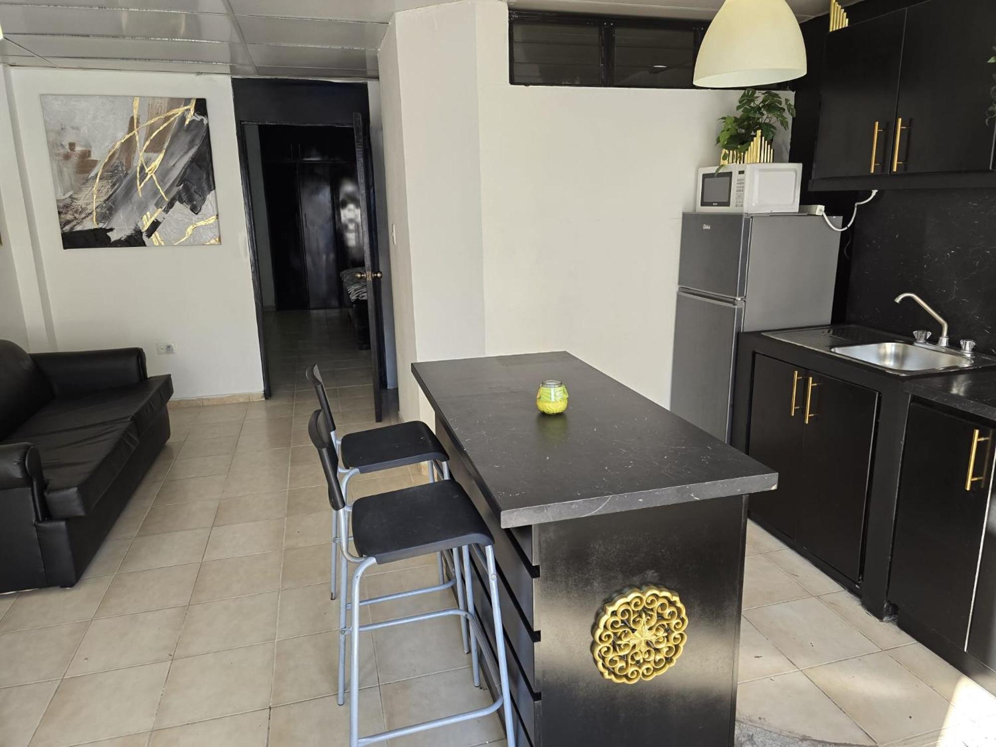 Classic One-Bedroom Apartment With King Bed photo 2