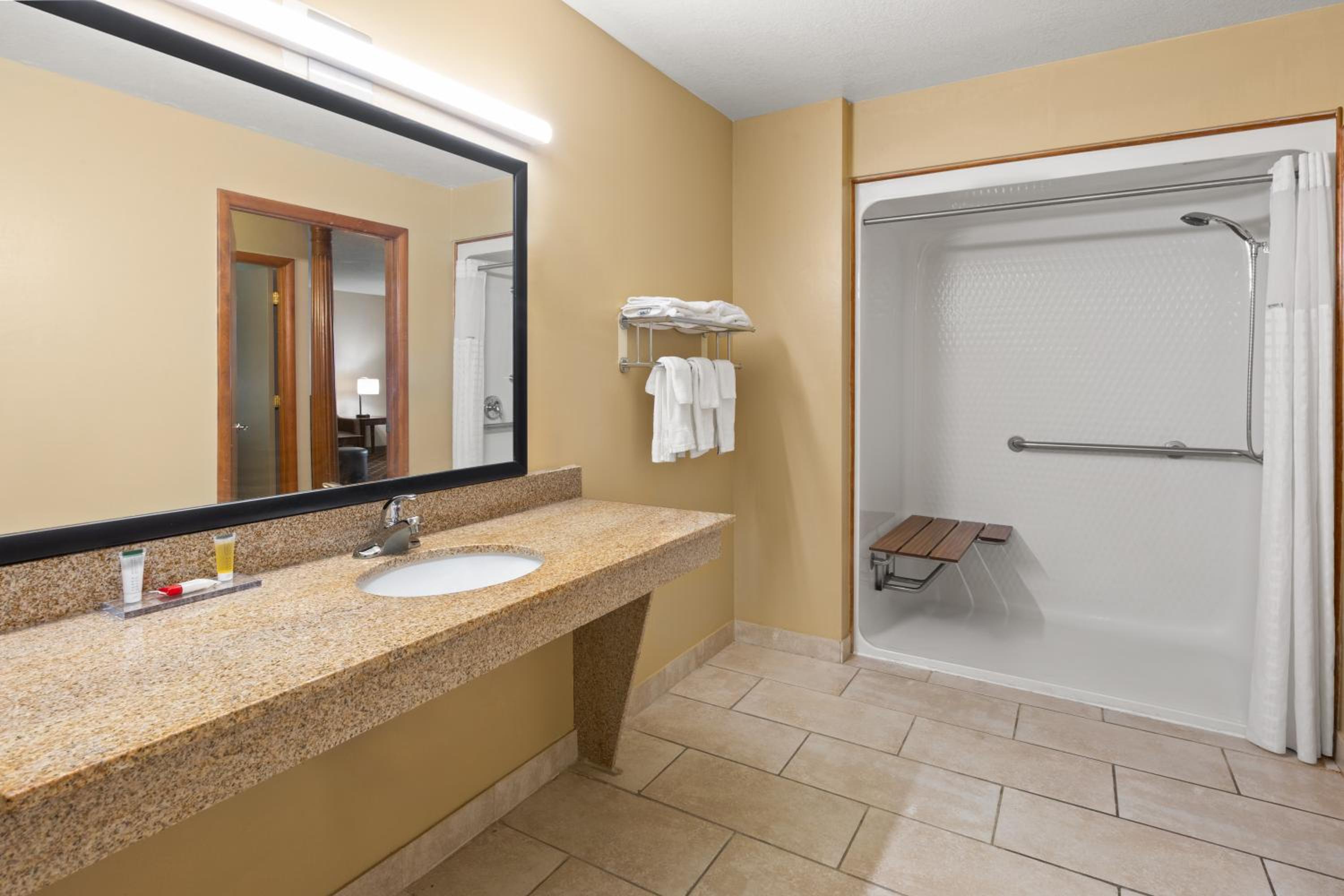 One-Bedroom King Suite - Accessible/Non-Smoking photo 2