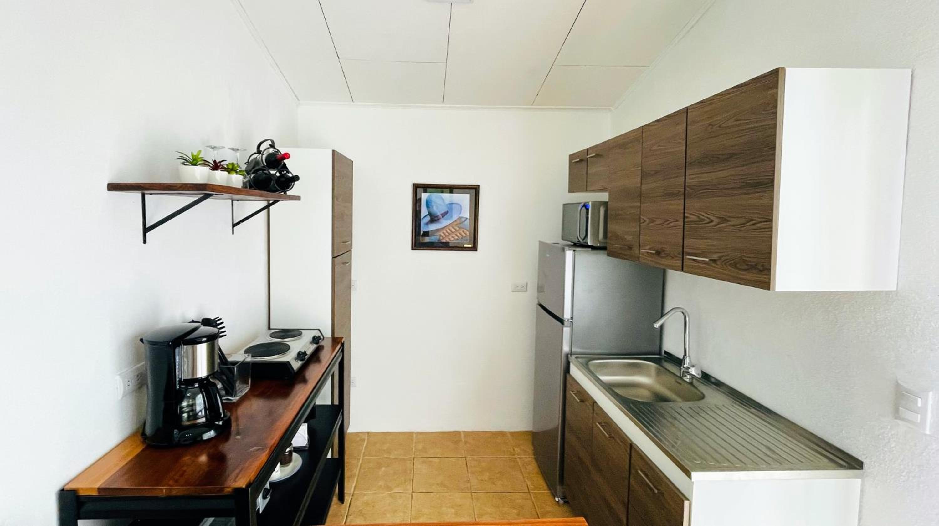 One-Bedroom Apartment photo 3