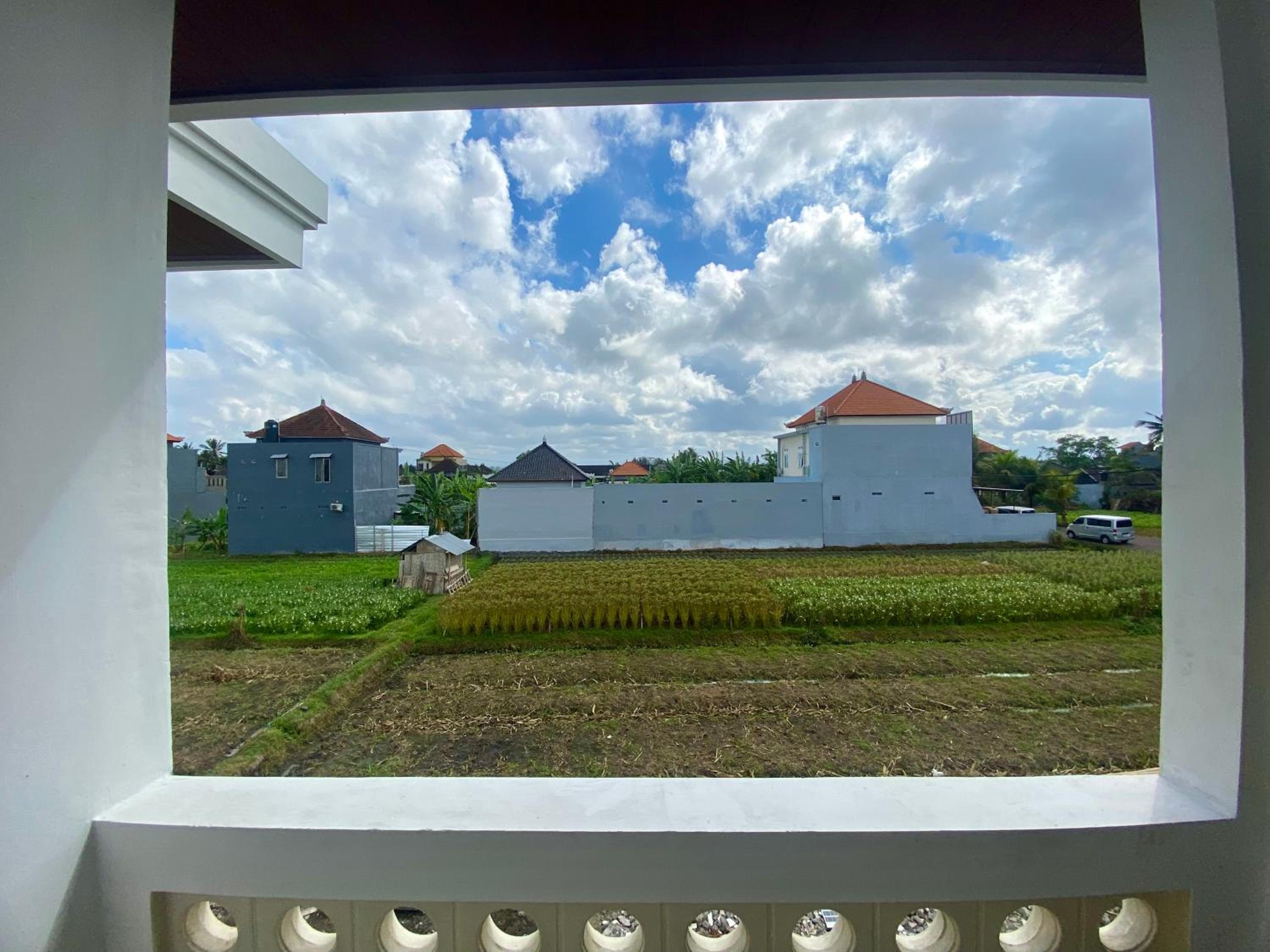 Double Room with Balcony photo 2