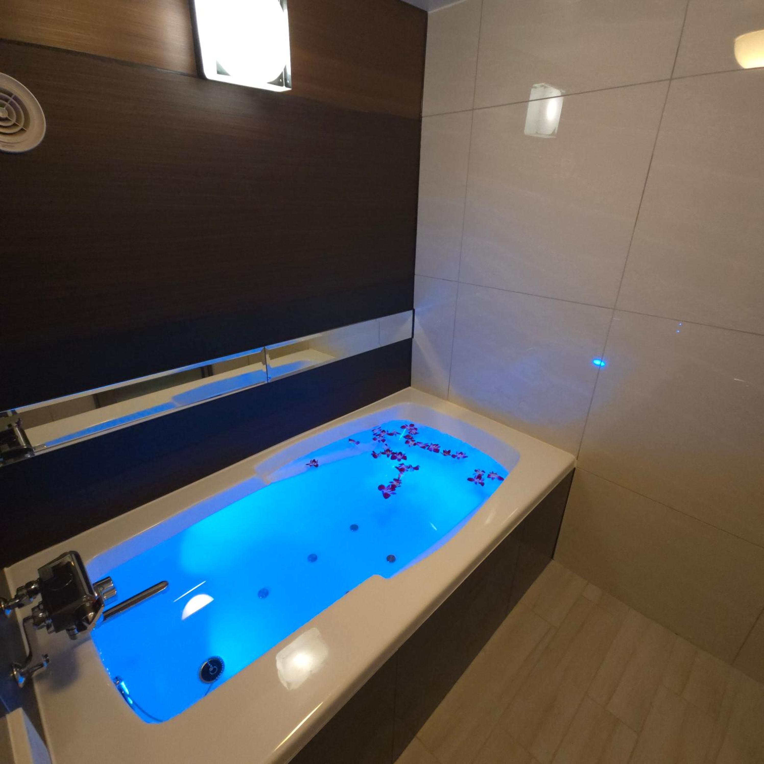 Deluxe Room photo 3