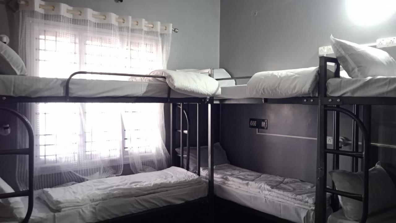 Bunk Bed in Mixed Dormitory Room photo 3