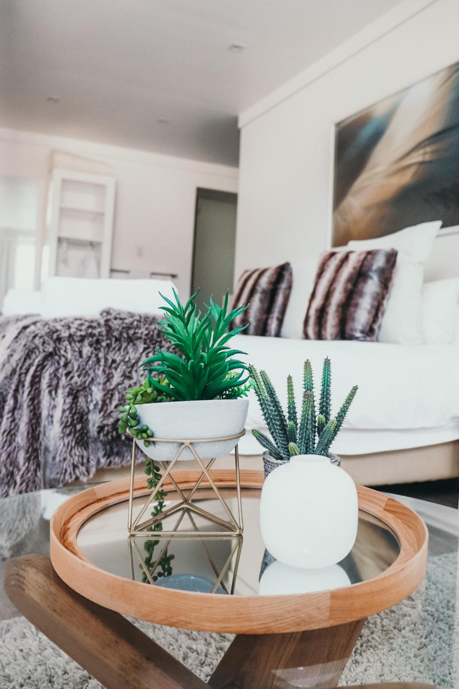 Deluxe Room photo 1
