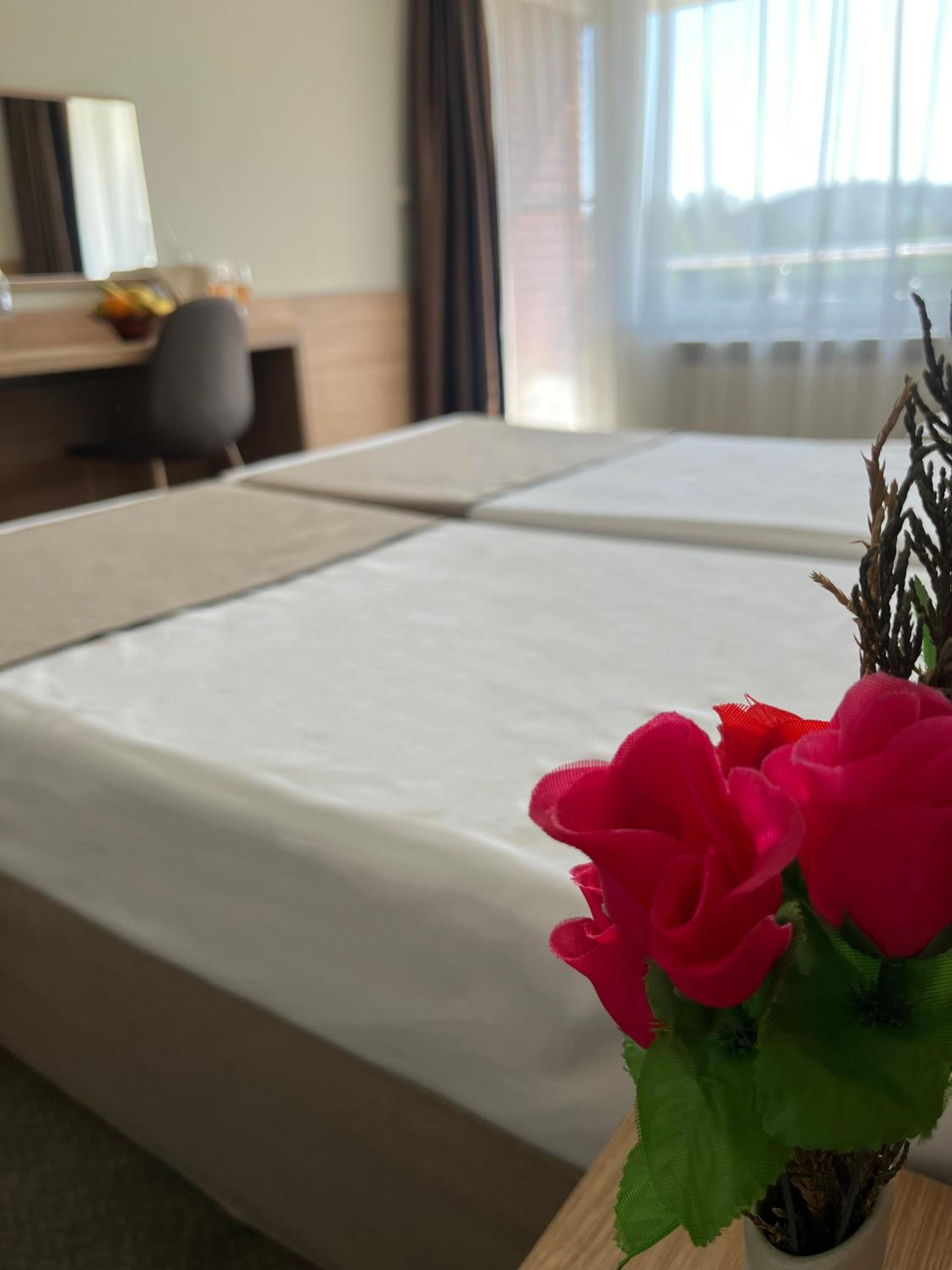 Double or Twin Room with Balcony photo 2