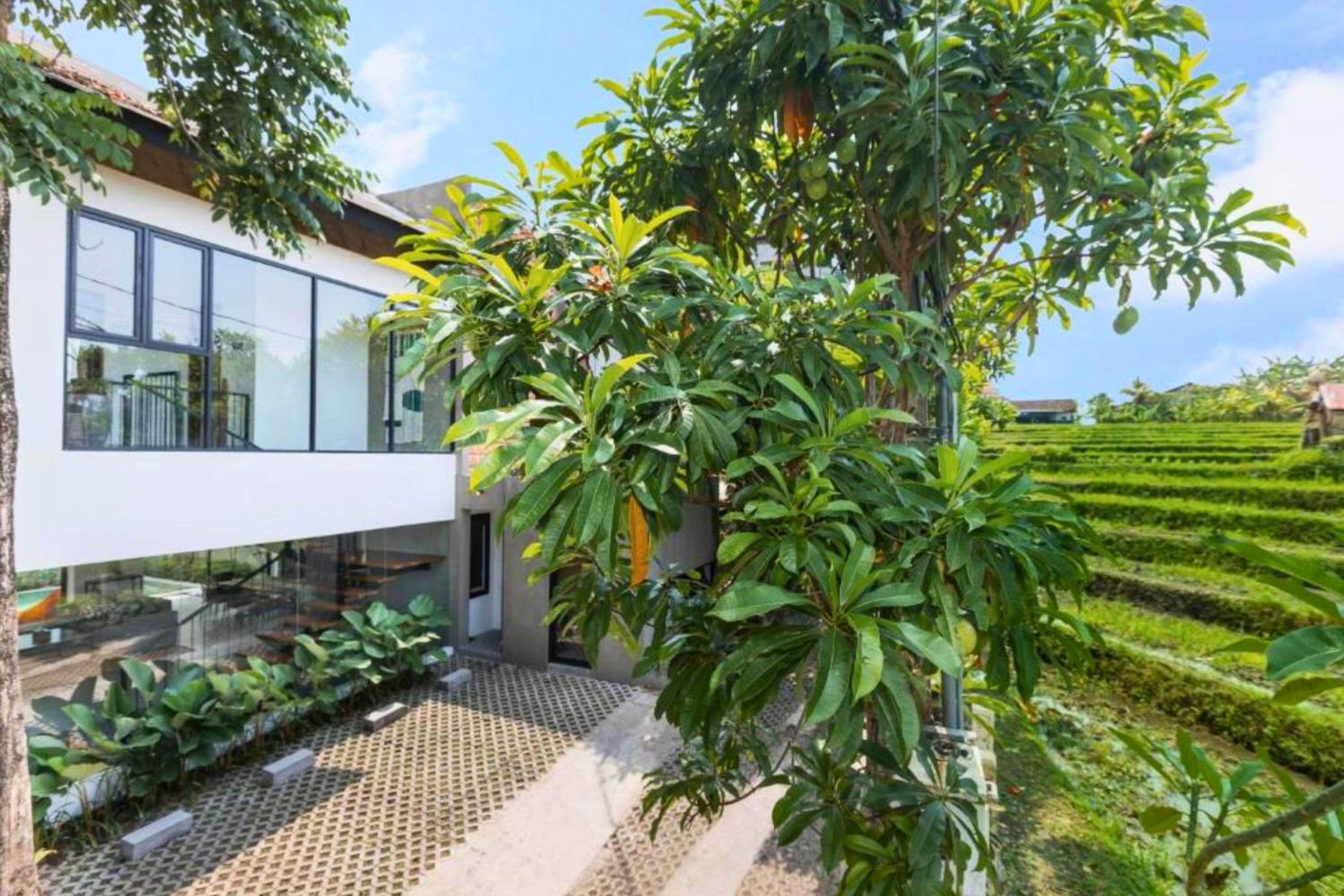 Three-Bedroom Villa photo 2